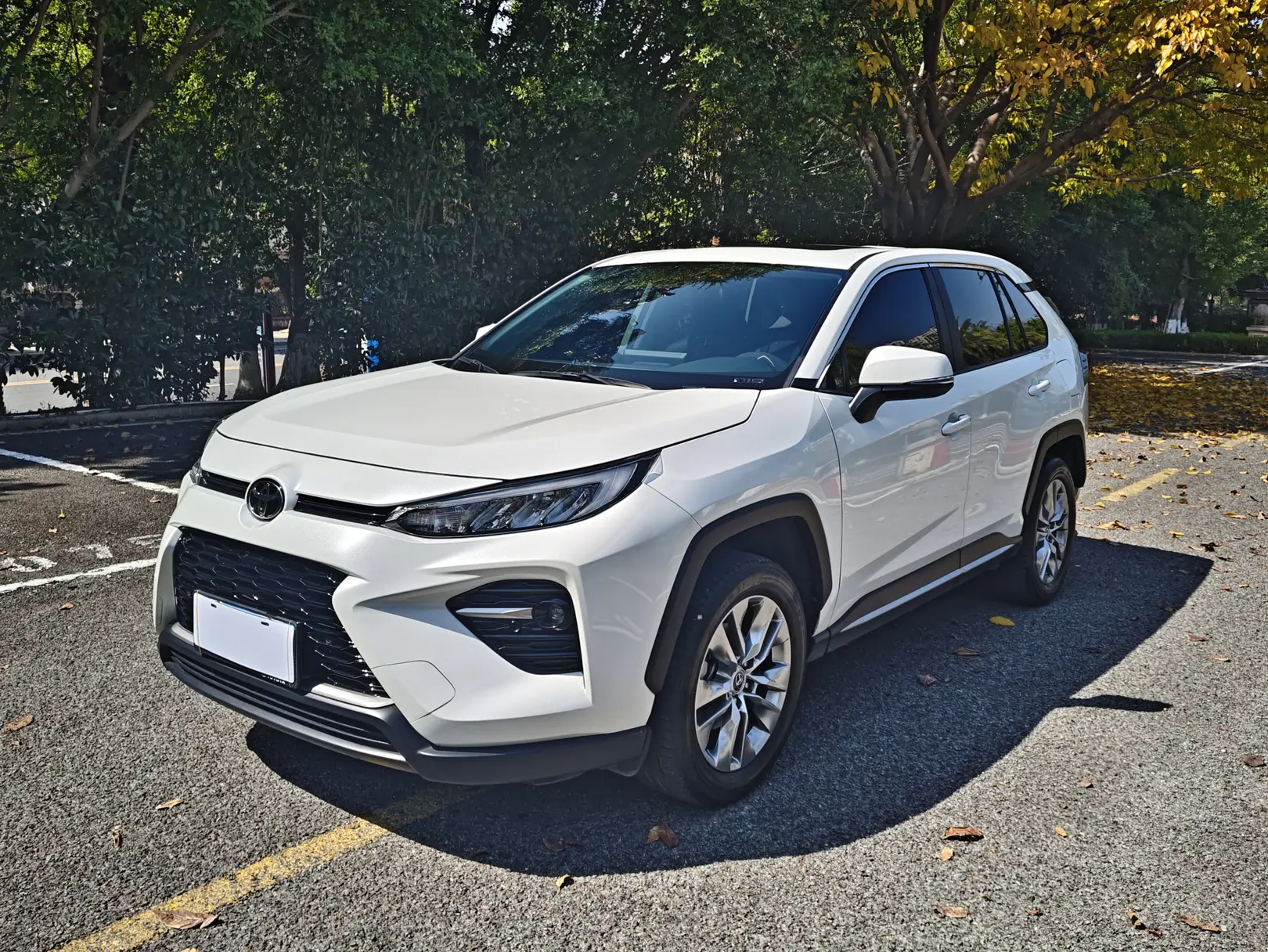 Toyota Willanda