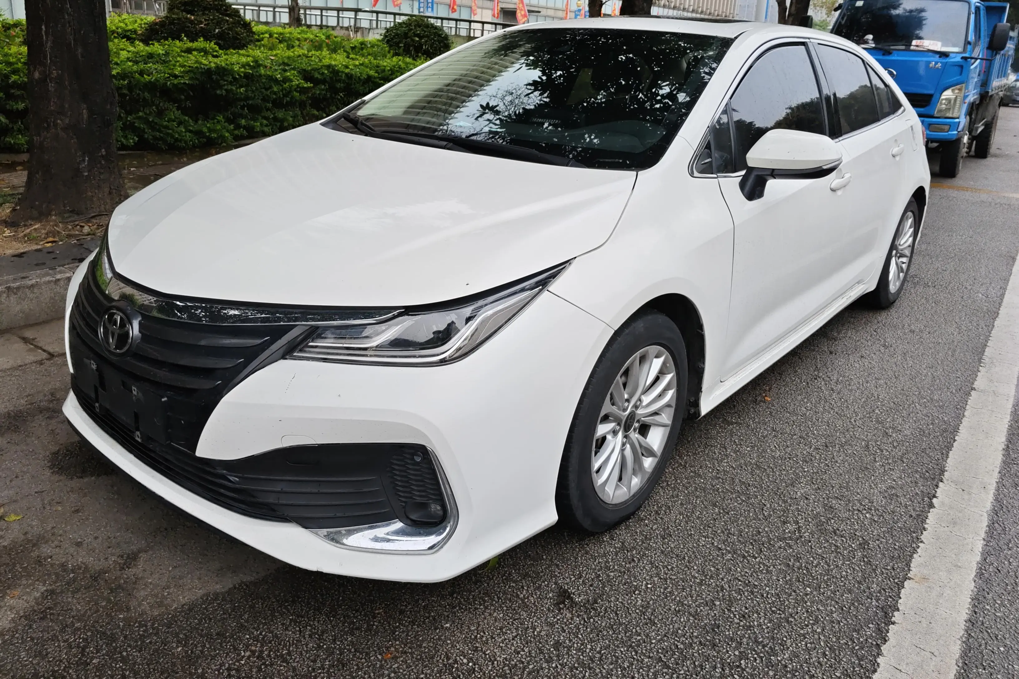 Toyota Asiatic lion