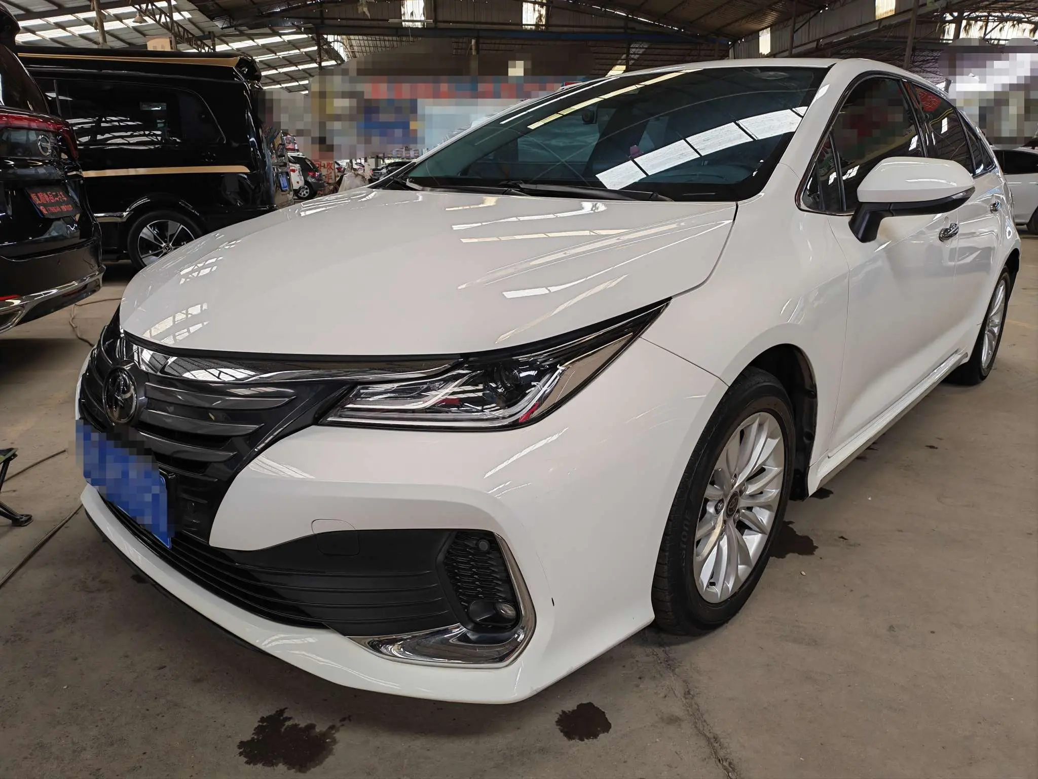 Toyota Asiatic lion