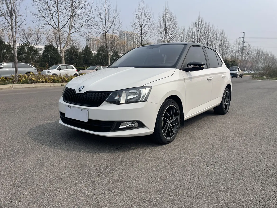 Skoda Jing Rui  из Китая
