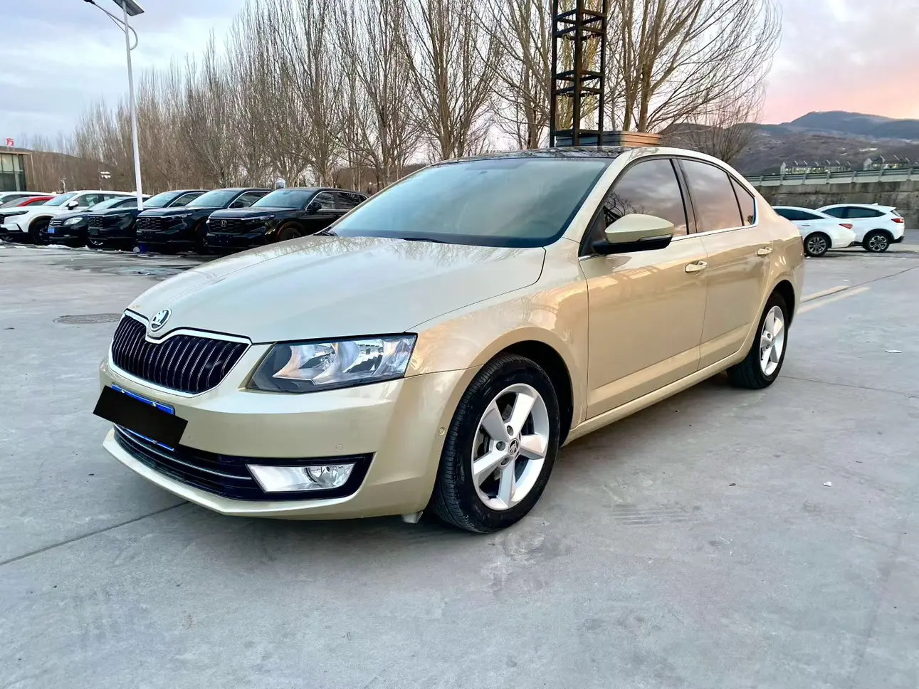 Skoda Octavia  из Китая