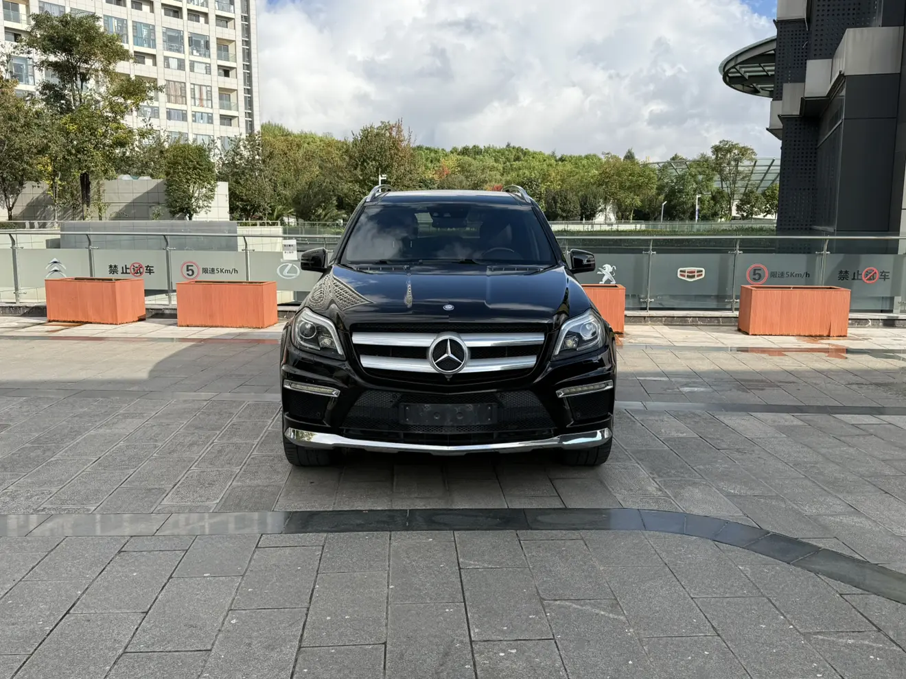 Mercedes-Benz Mercedes Benz GL Class  из Китая