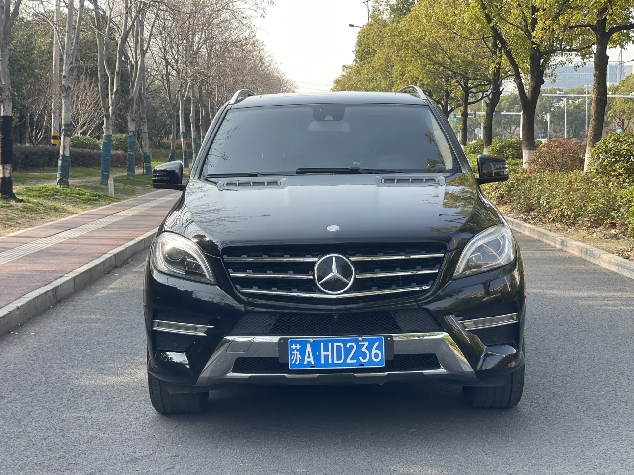 Mercedes-Benz Mercedes Benz M Class  из Китая