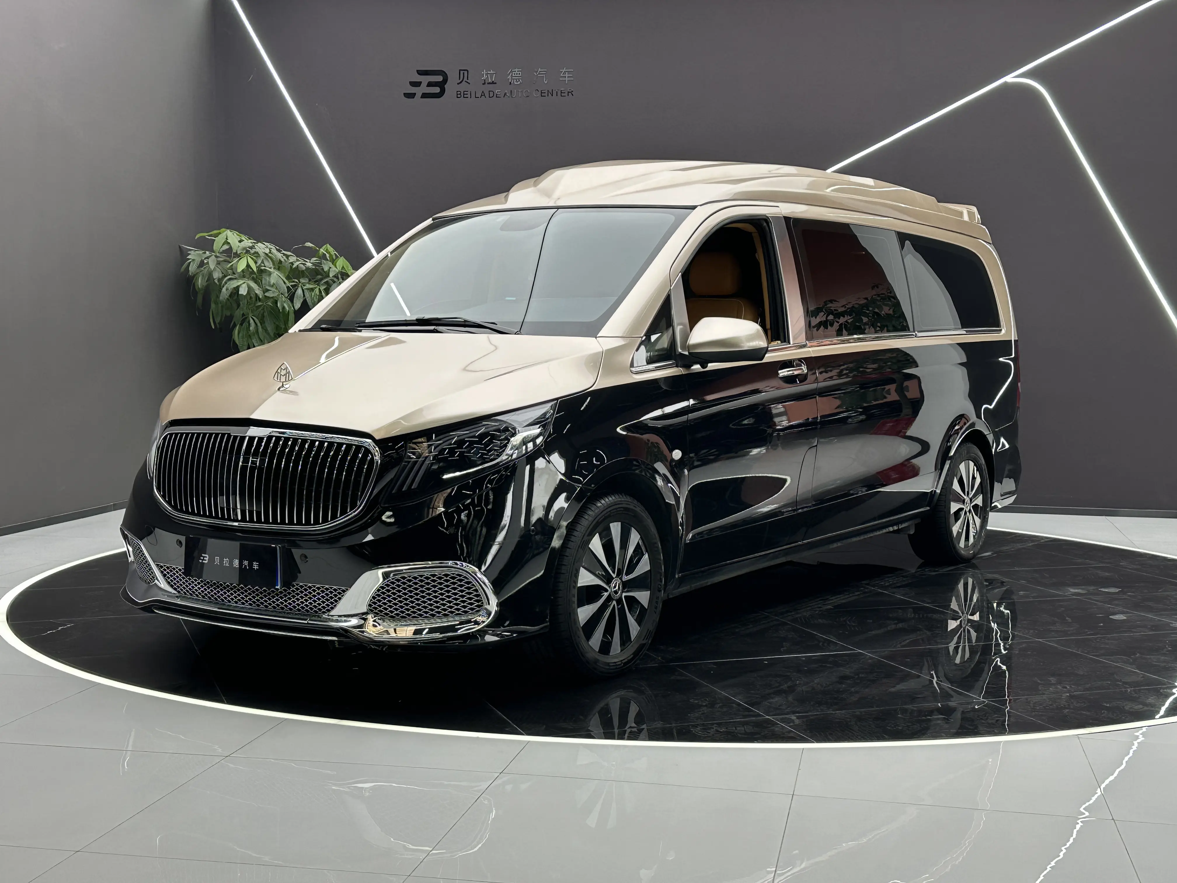 Mercedes-Benz Vito  из Китая