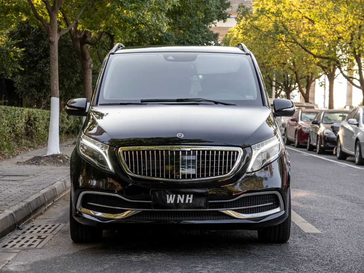 Mercedes-Benz Mercedes Benz V Class  из Китая