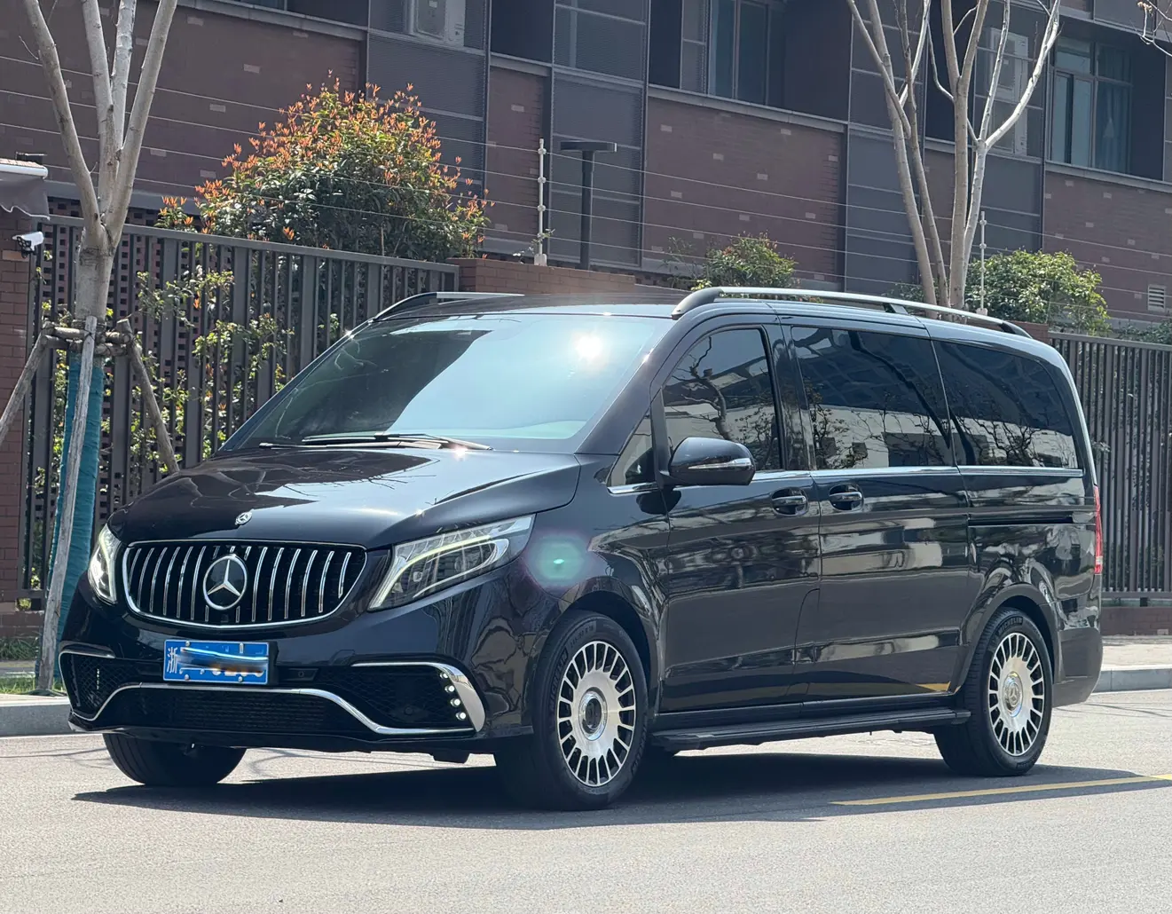 Mercedes-Benz Mercedes Benz V Class  из Китая