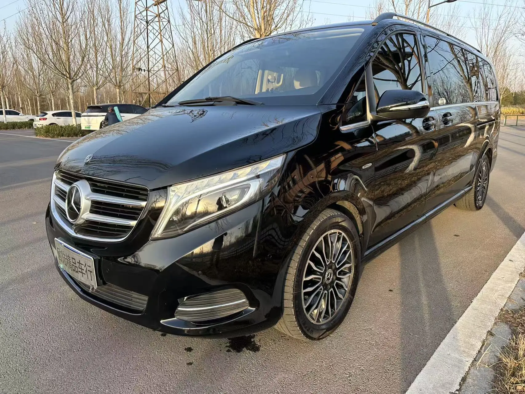 Mercedes-Benz Mercedes Benz V Class  из Китая