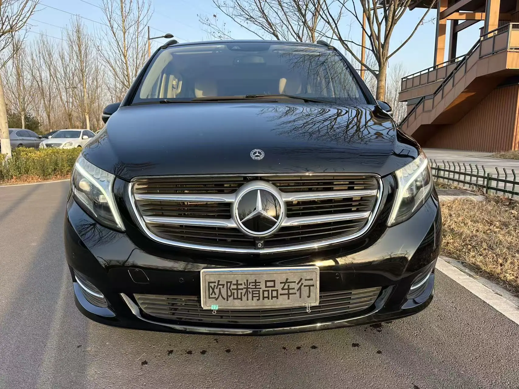 Mercedes-Benz Mercedes Benz V Class  из Китая