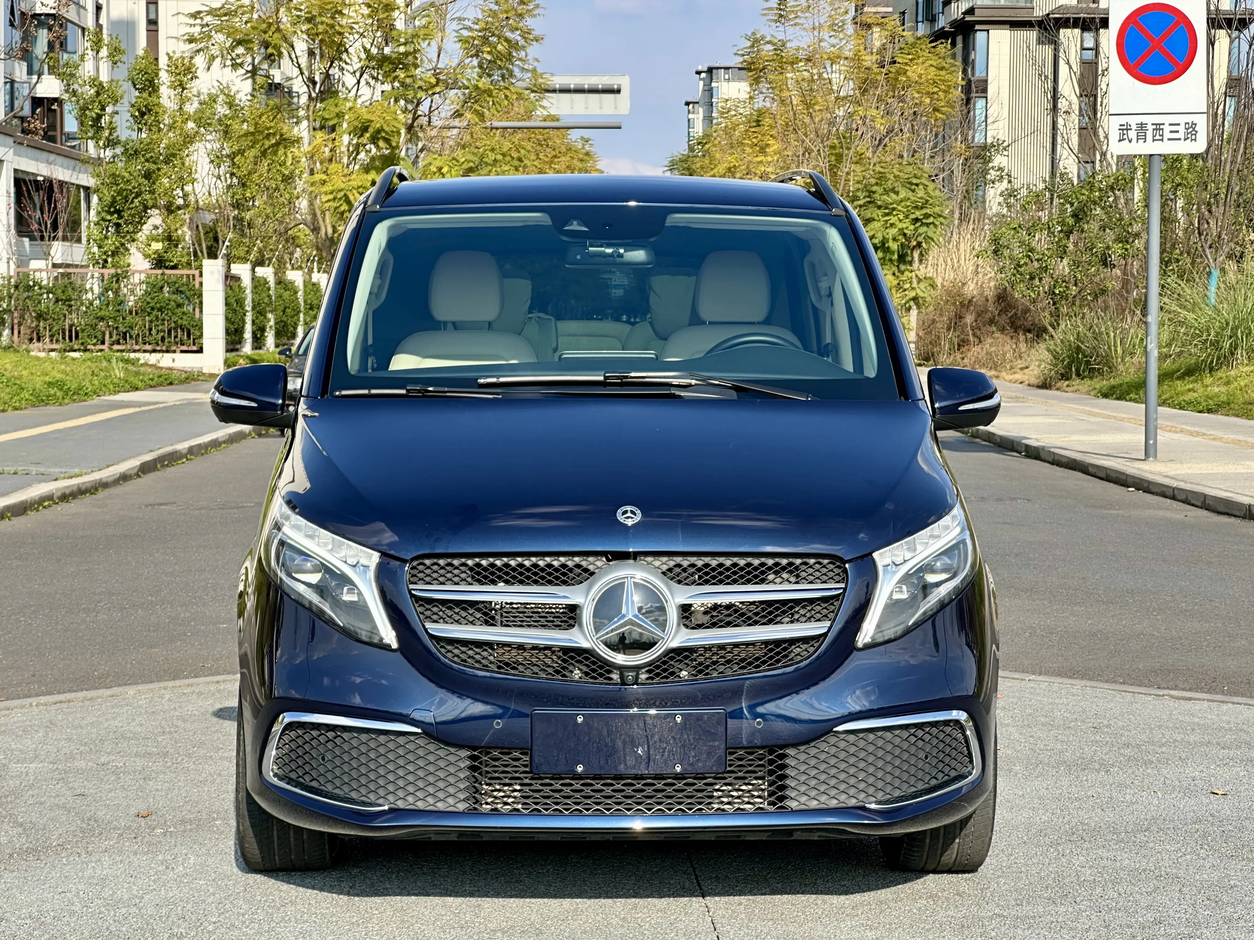 Mercedes-Benz Mercedes Benz V Class  из Китая