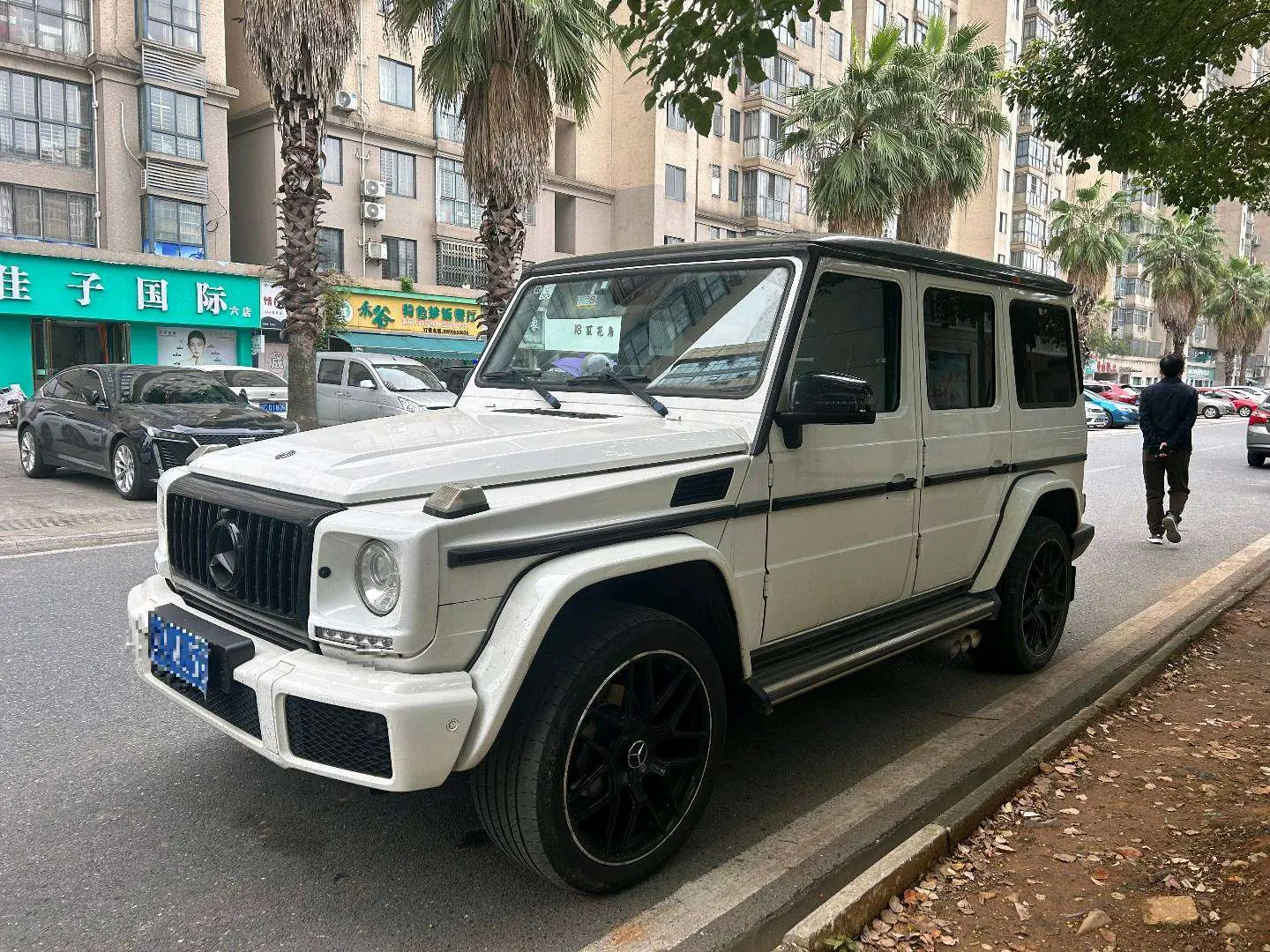 Mercedes-Benz Mercedes Benz G Class