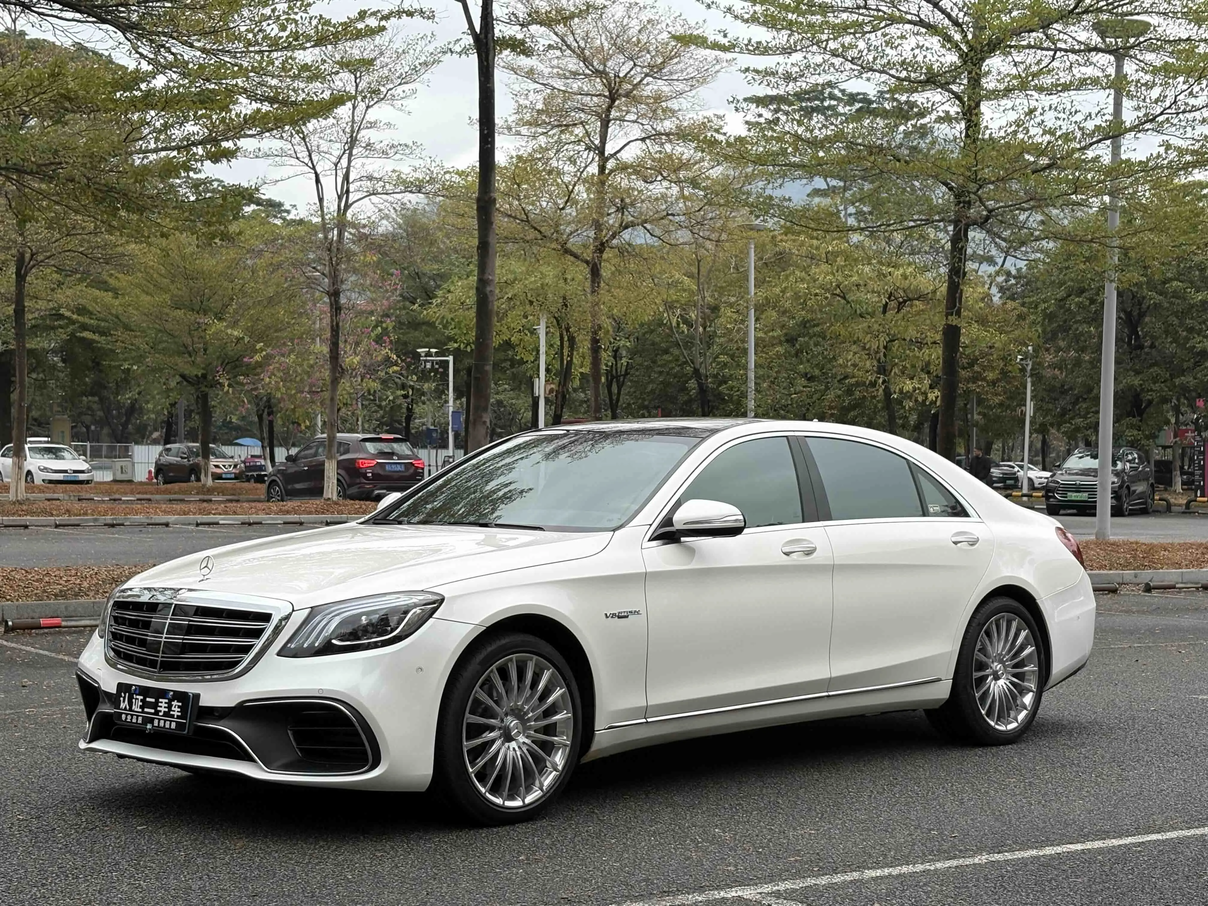 Mercedes-Benz Mercedes Benz S Class  из Китая