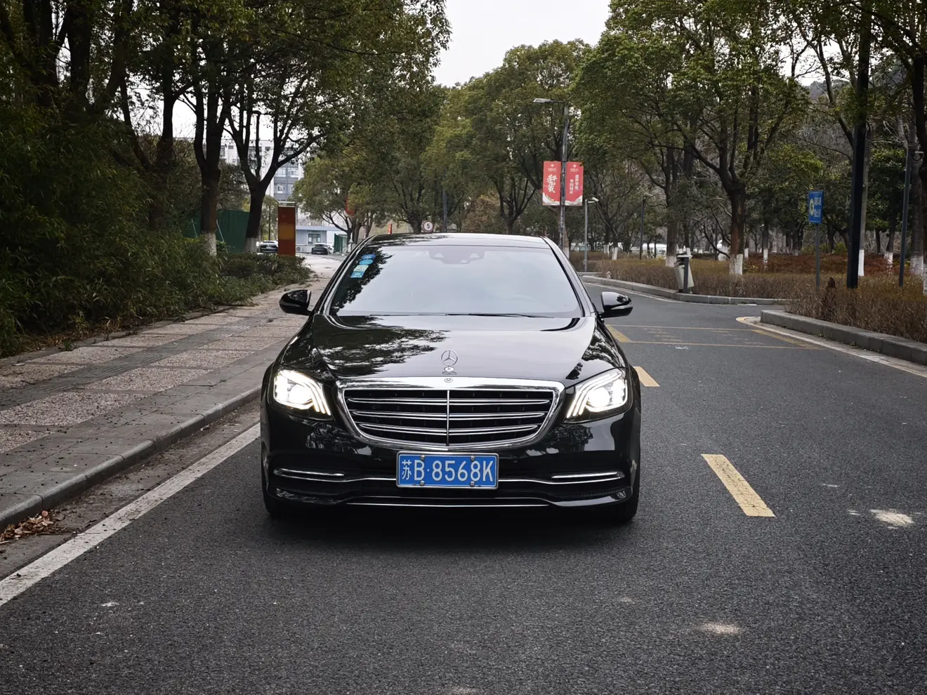 Mercedes-Benz Mercedes Benz S Class  из Китая