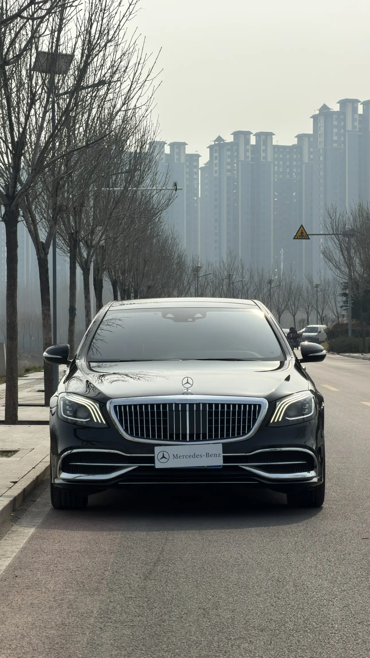 Mercedes-Benz Mercedes Benz S Class  из Китая