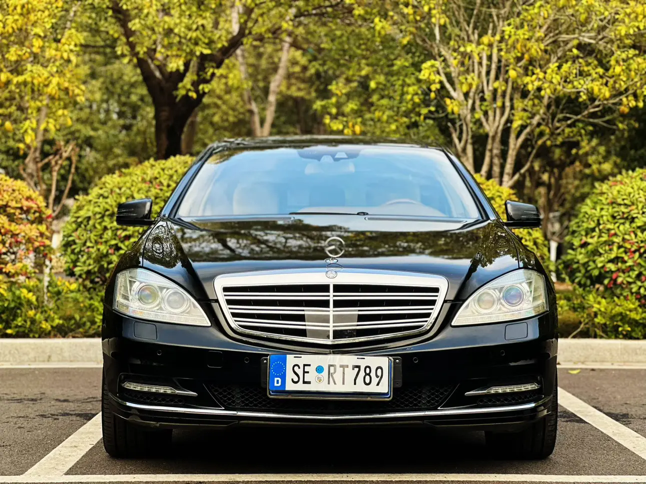 Mercedes-Benz Mercedes Benz S Class  из Китая