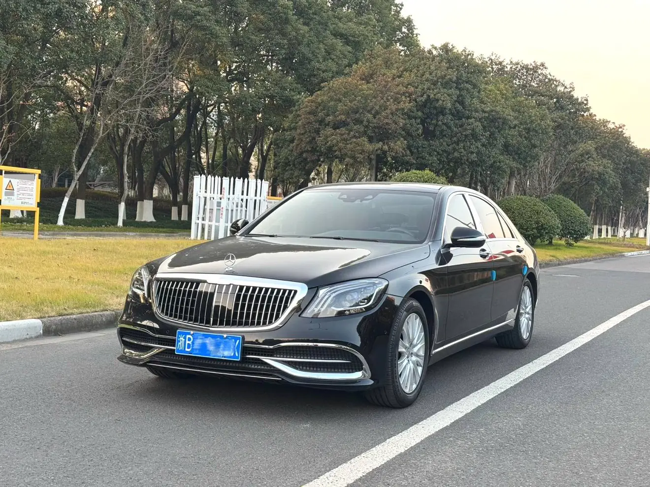 Mercedes-Benz Mercedes Benz S Class  из Китая