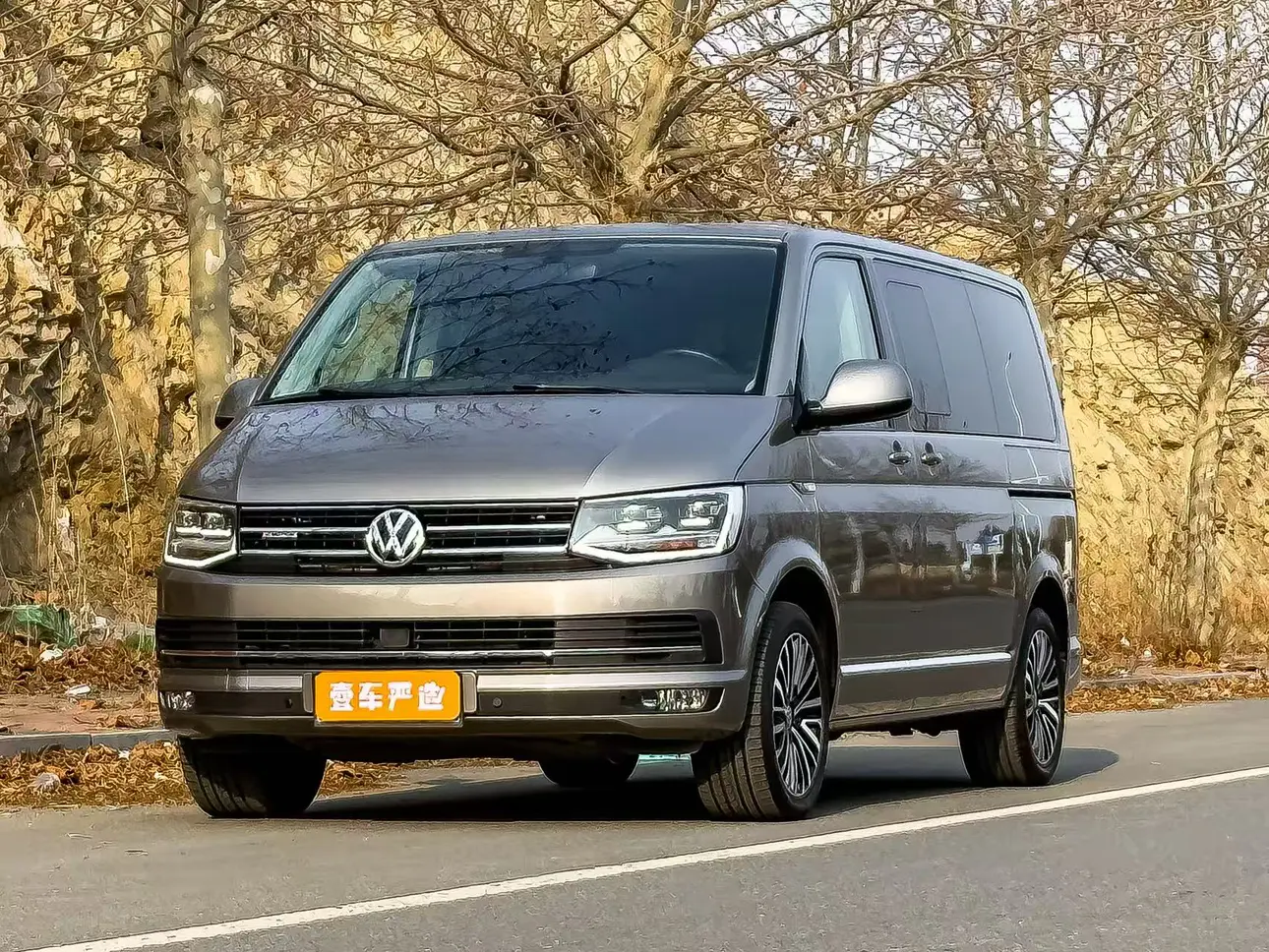 Volkswagen Metroway  из Китая