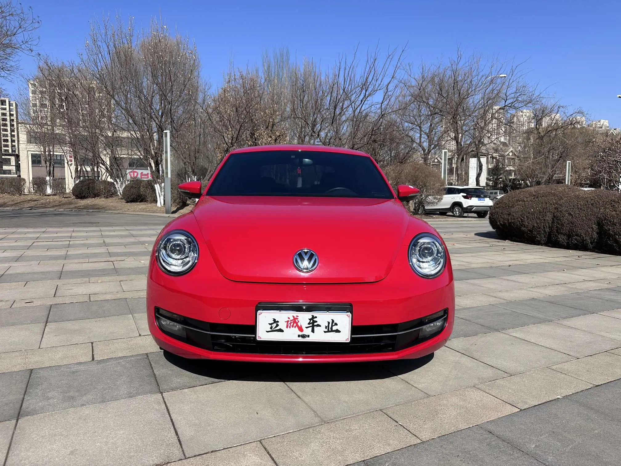Volkswagen Beetle  из Китая