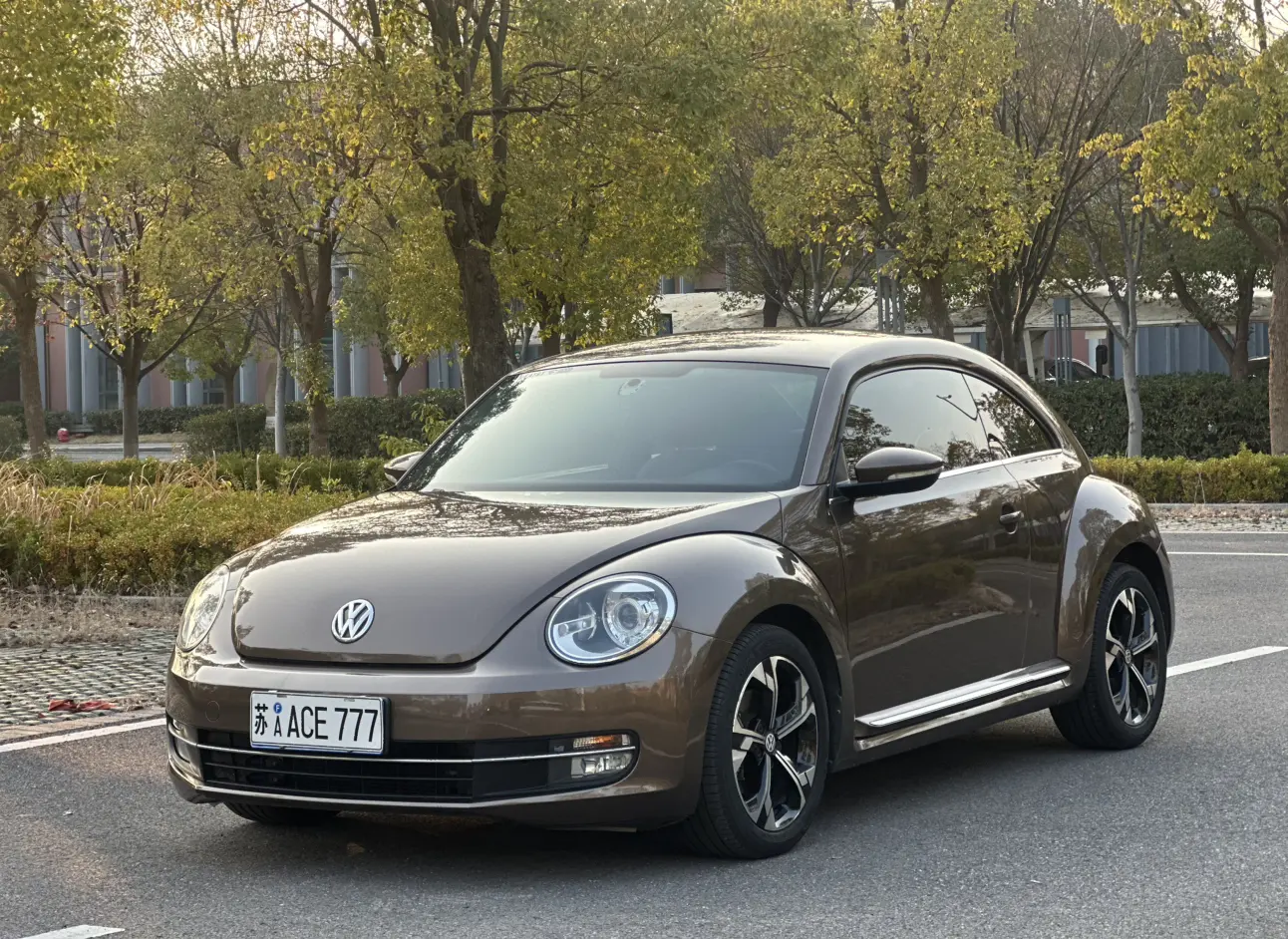 Volkswagen Beetle  из Китая