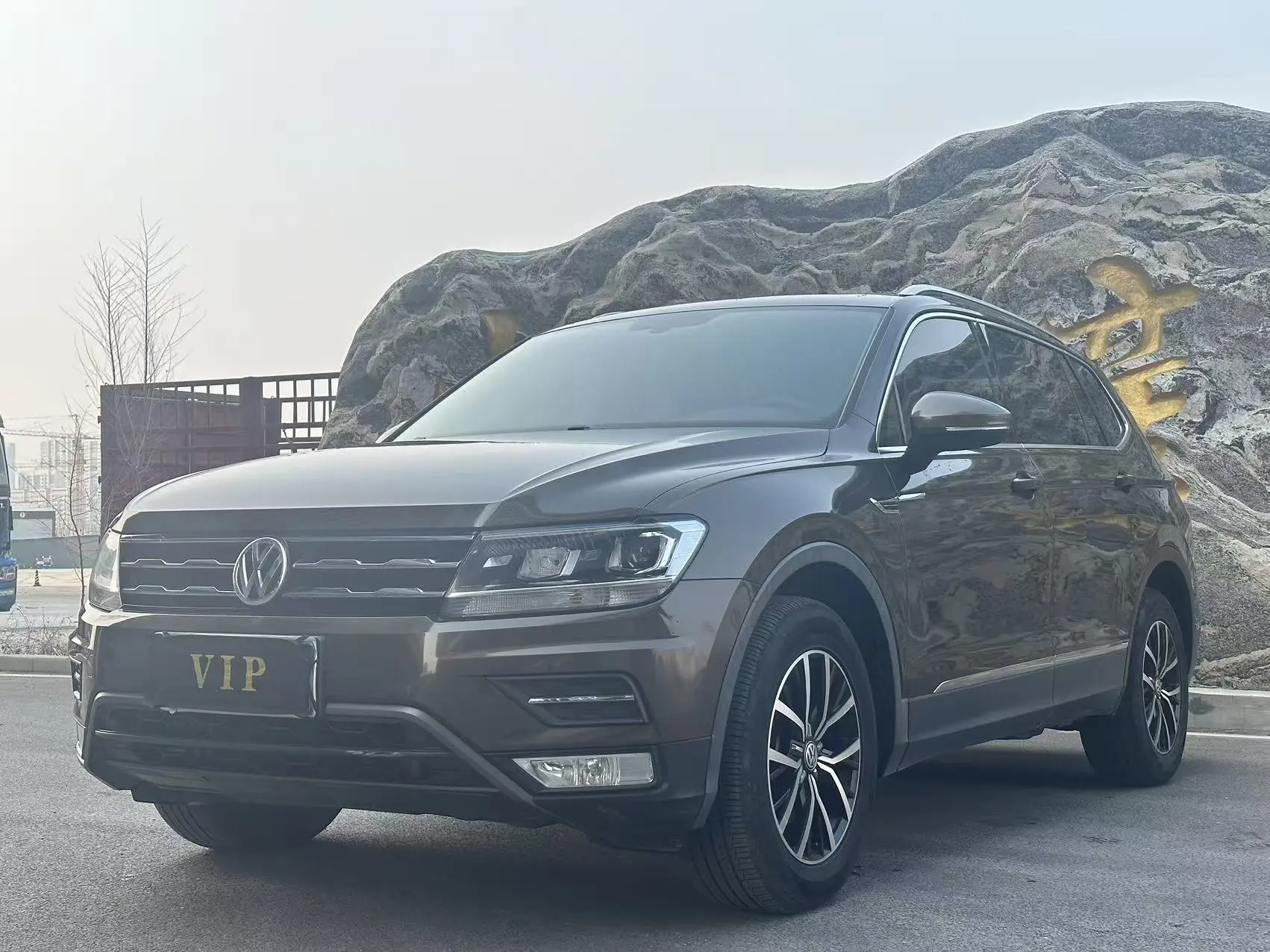 Volkswagen Tiguan L  из Китая