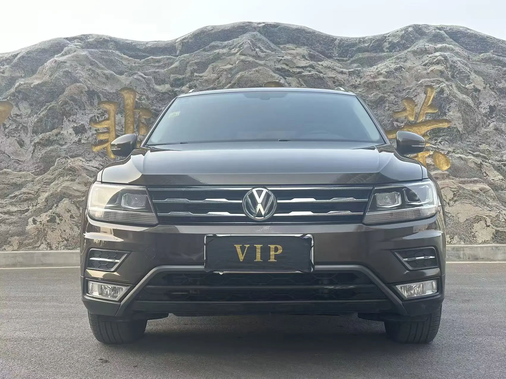 Volkswagen Tiguan L  из Китая