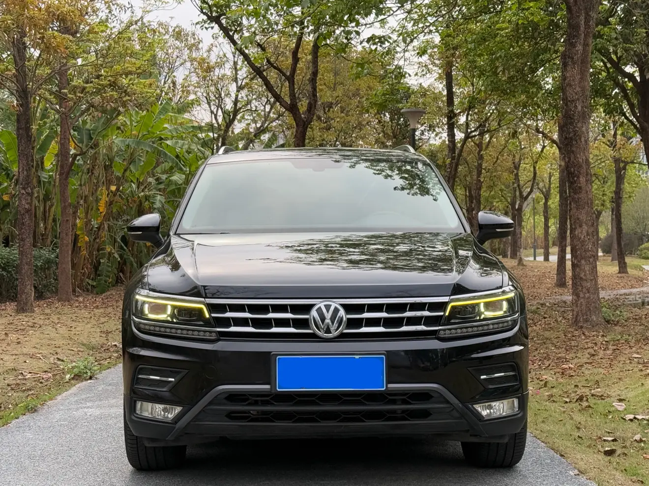 Volkswagen Tiguan L  из Китая