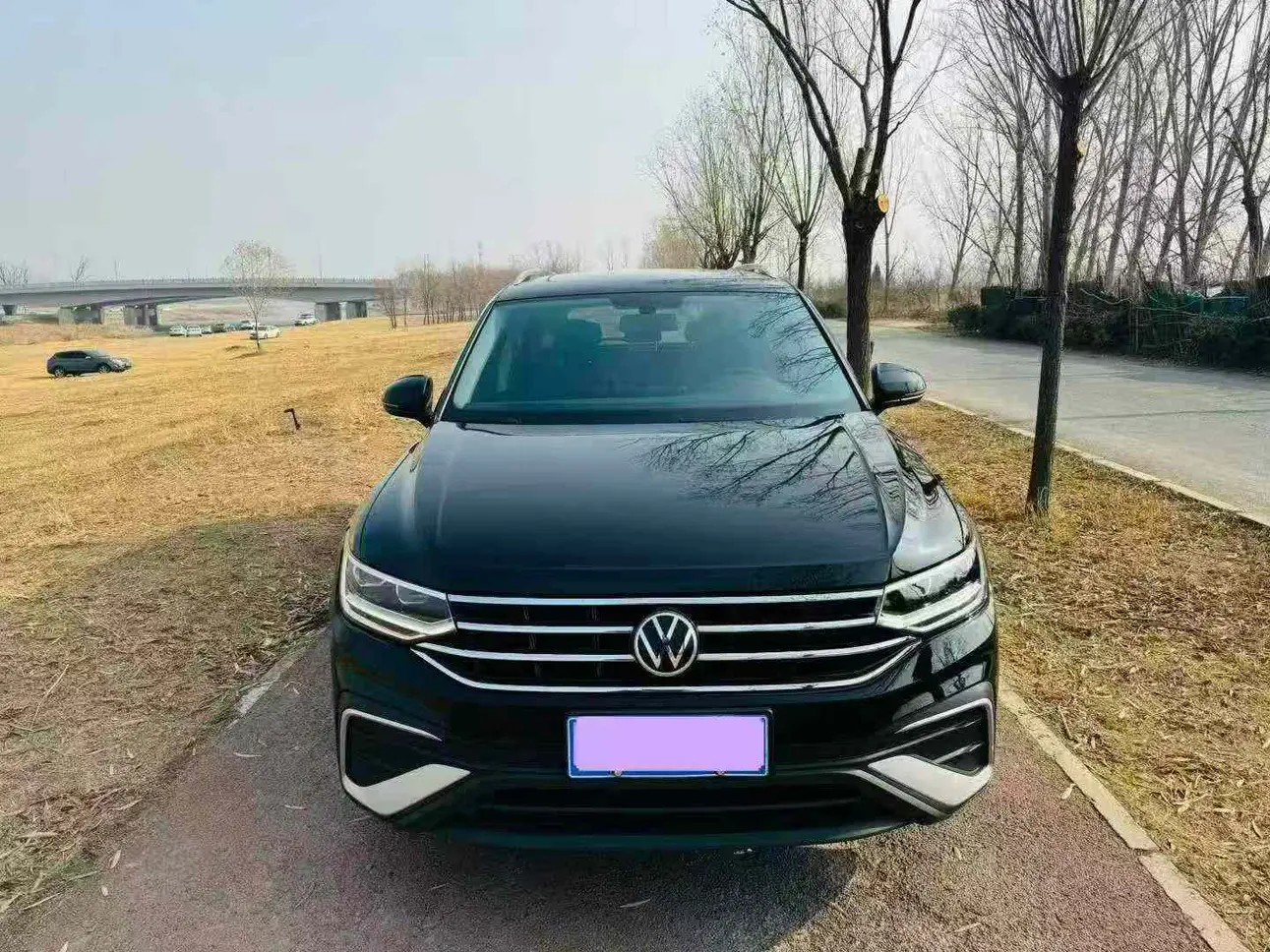 Volkswagen Tiguan L  из Китая