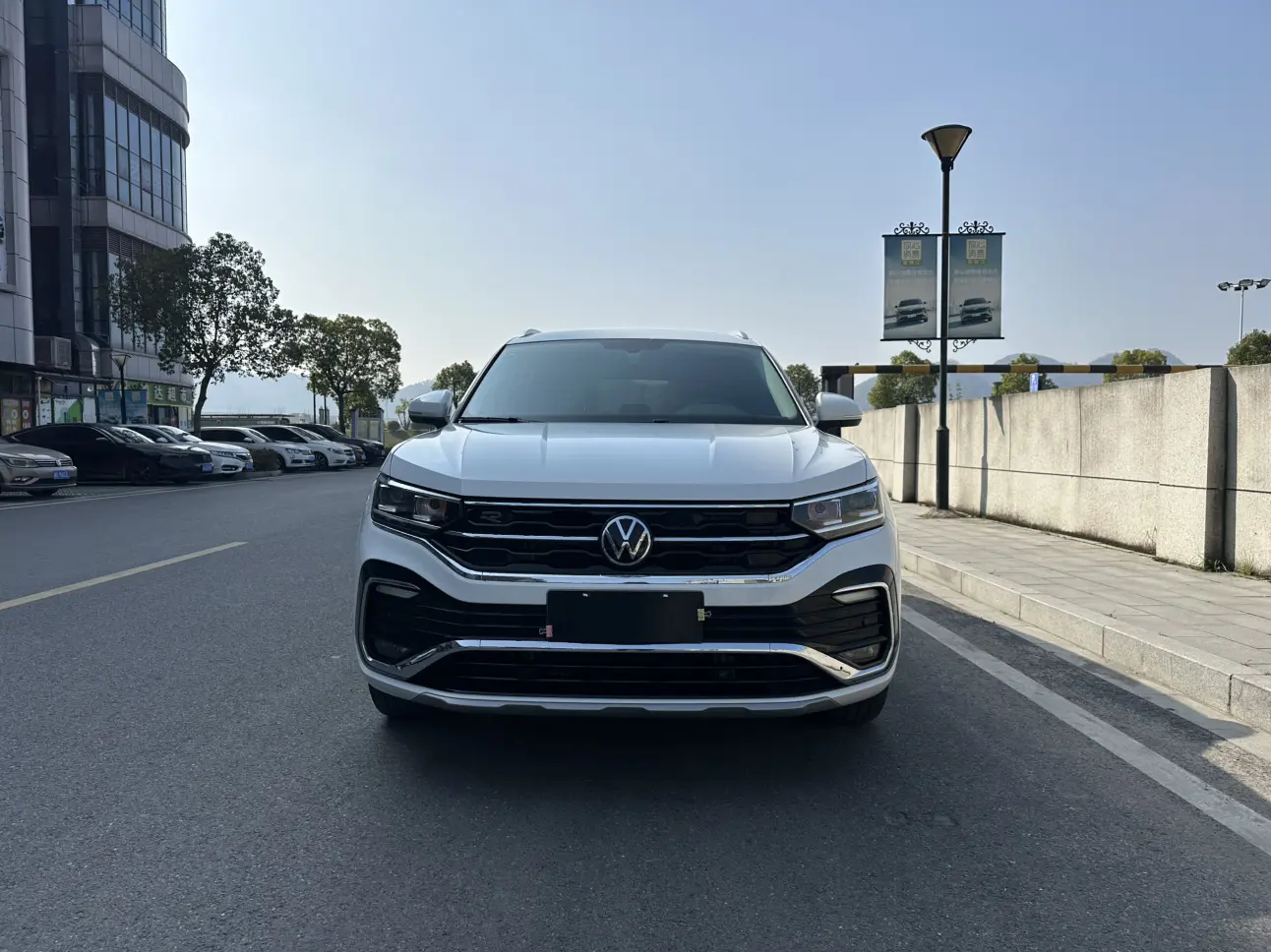 Volkswagen Tayron X  из Китая