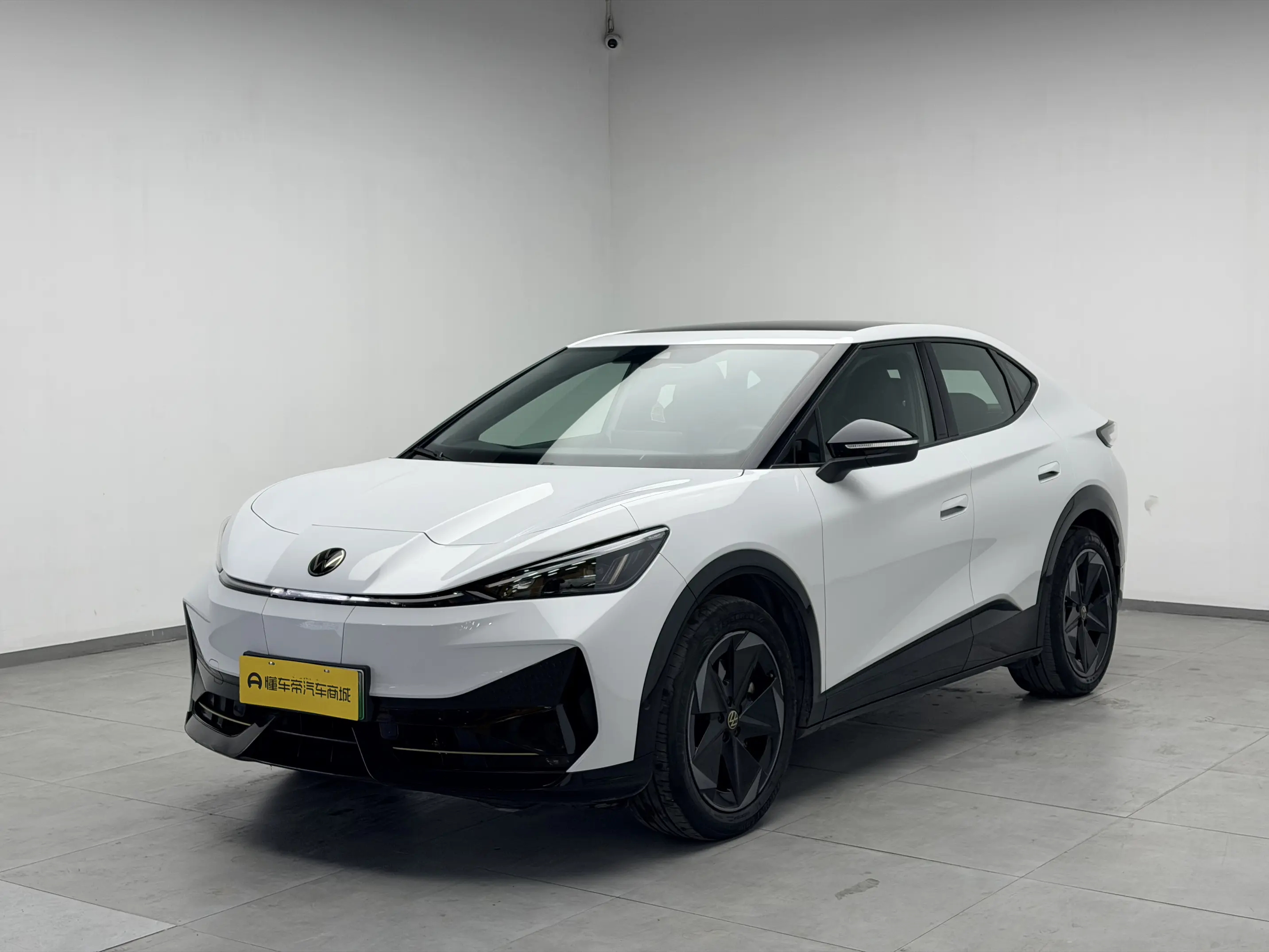 Volkswagen With the crowd06  из Китая