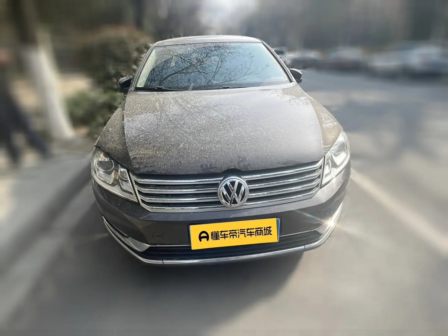 Volkswagen Magotan  из Китая