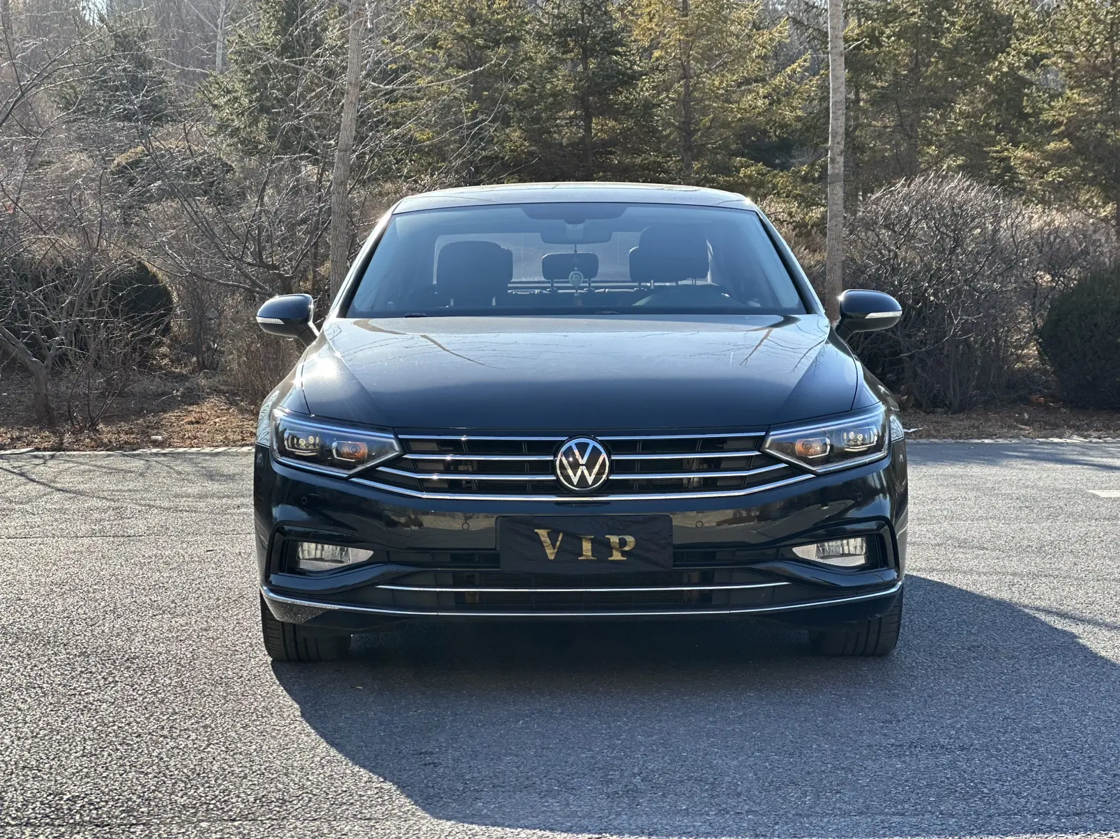 Volkswagen Magotan  из Китая