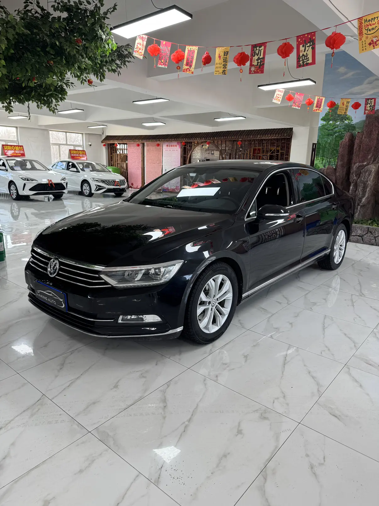 Volkswagen Magotan  из Китая