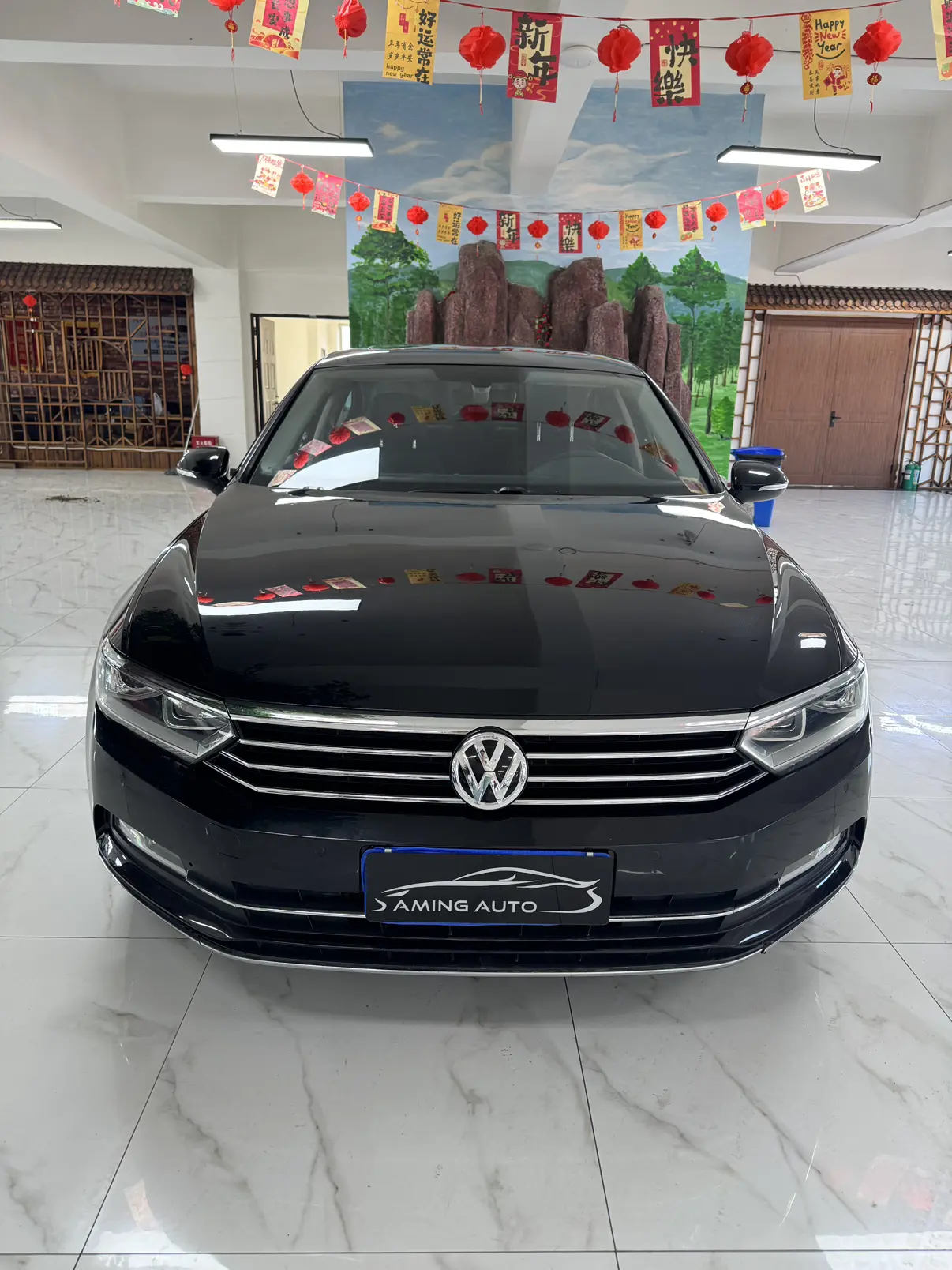 Volkswagen Magotan  из Китая
