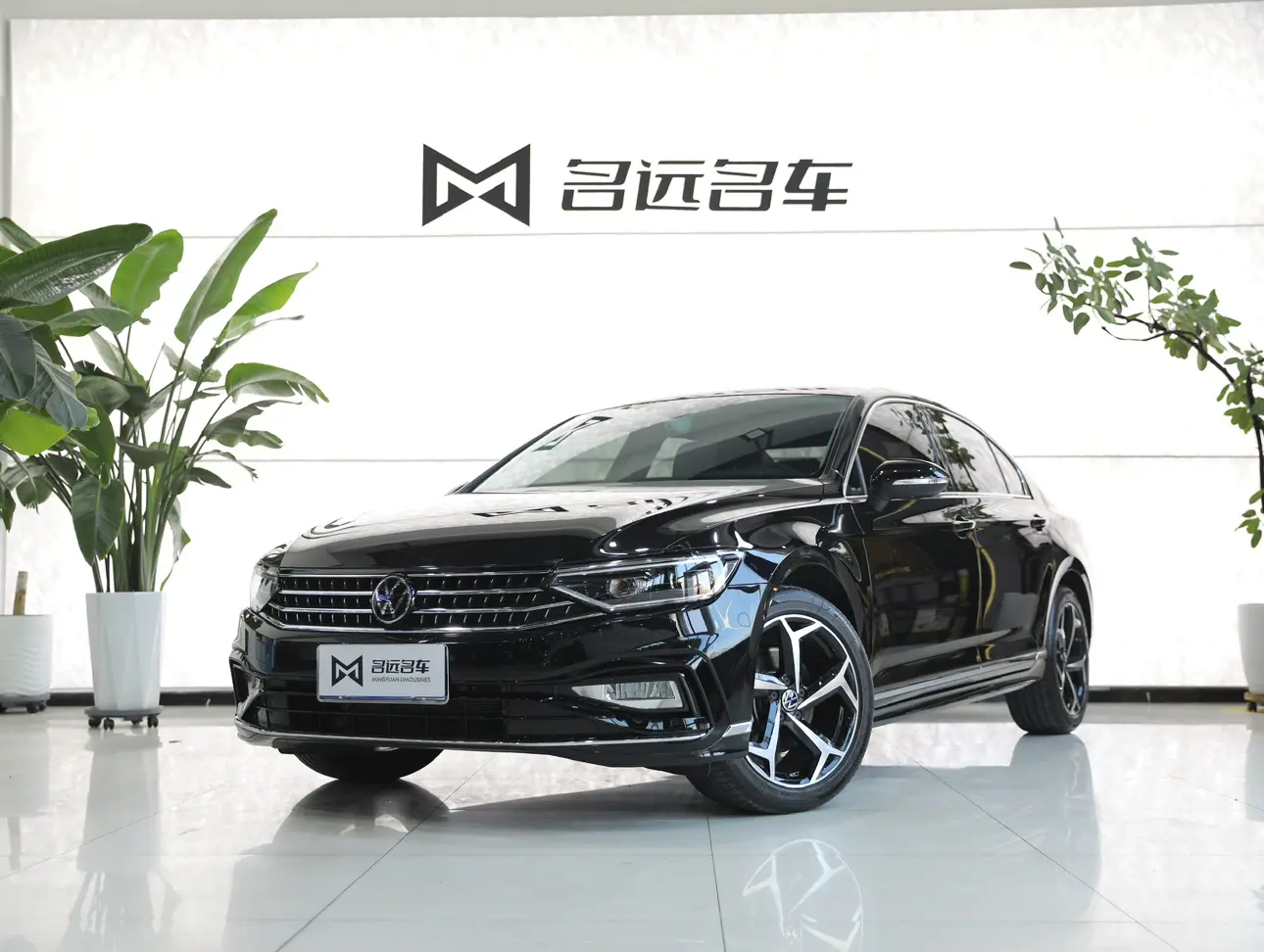 Volkswagen Magotan  из Китая