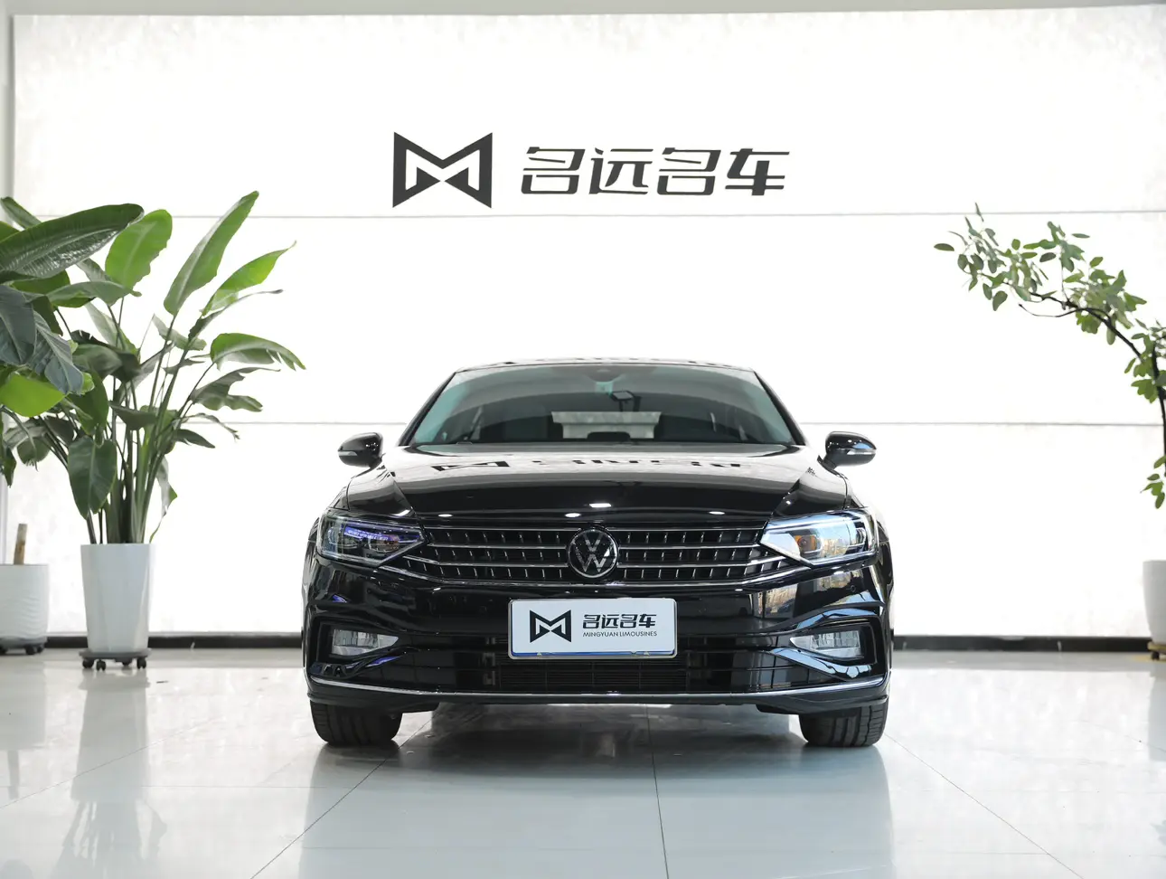 Volkswagen Magotan  из Китая