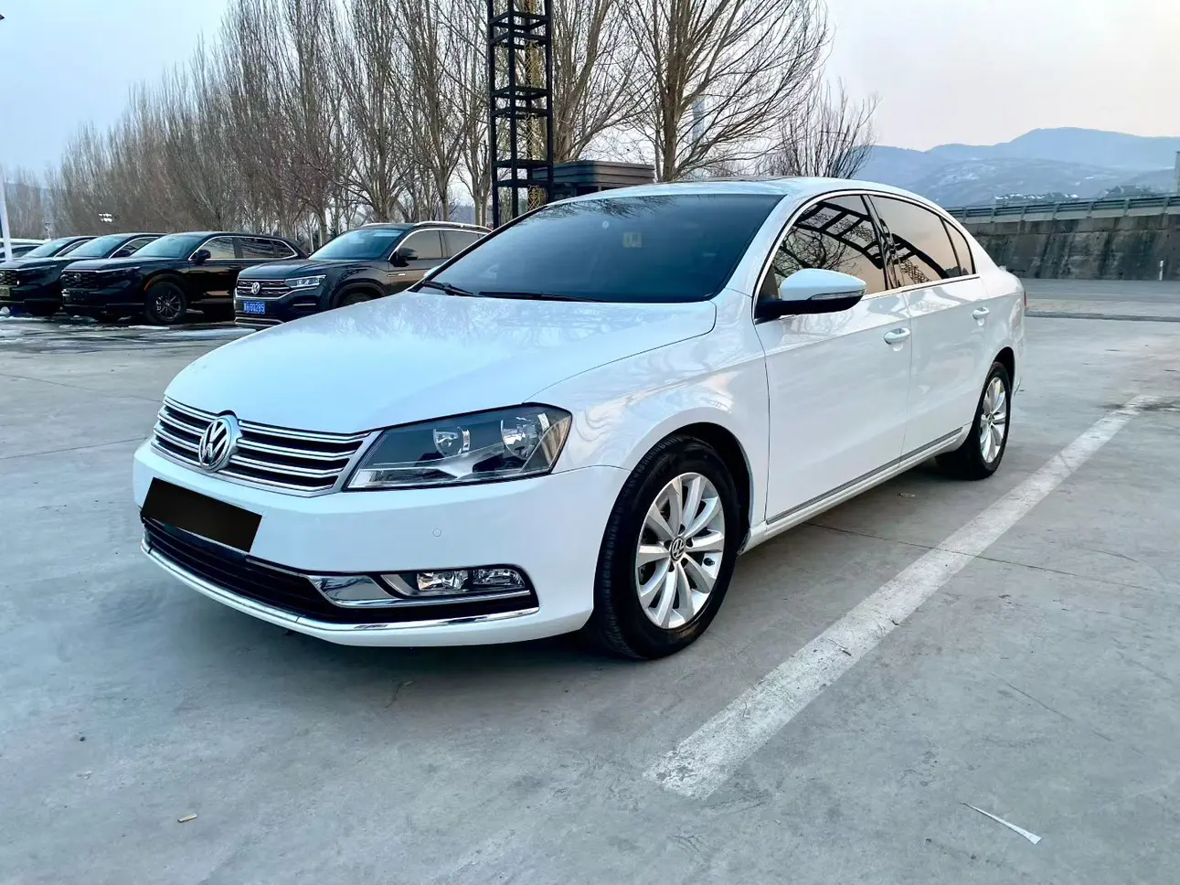 Volkswagen Magotan  из Китая