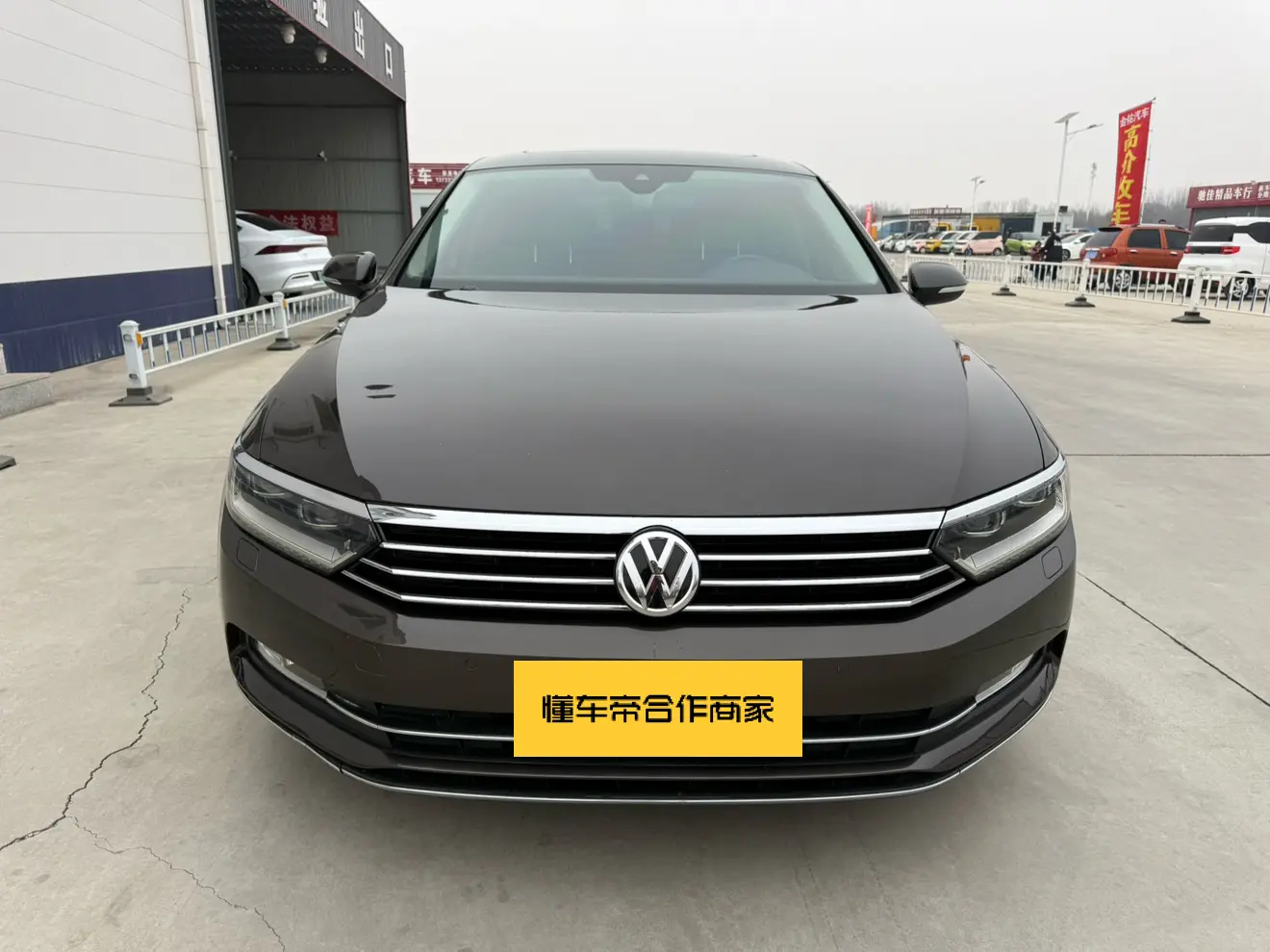 Volkswagen Magotan  из Китая