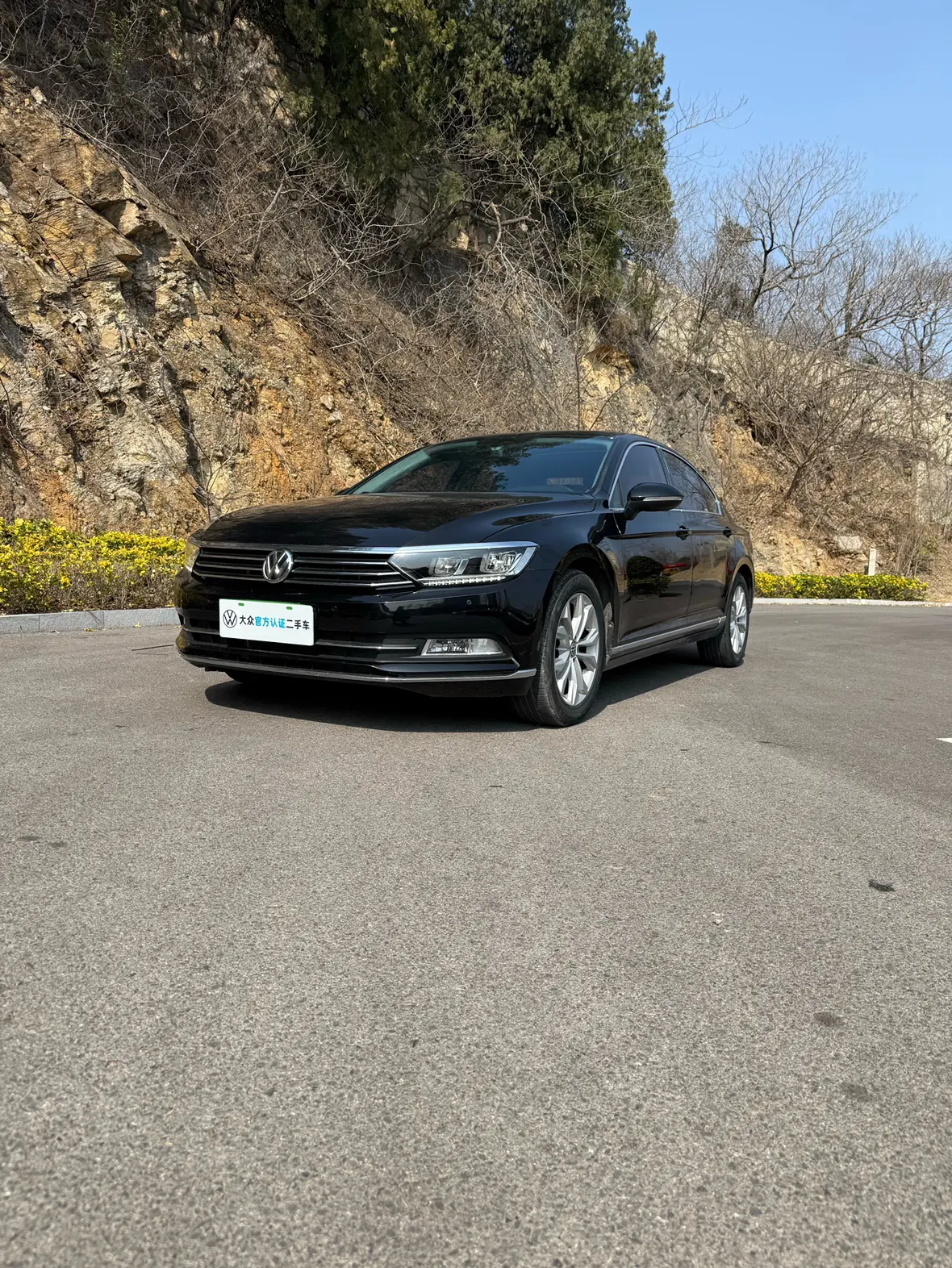 Volkswagen Magotan  из Китая