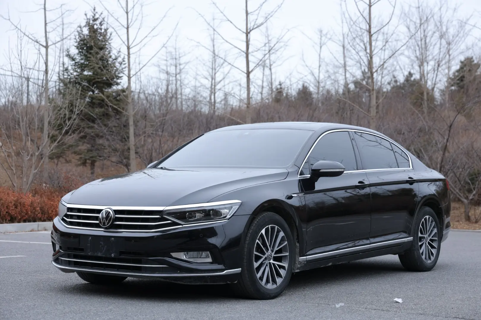 Volkswagen Magotan  из Китая