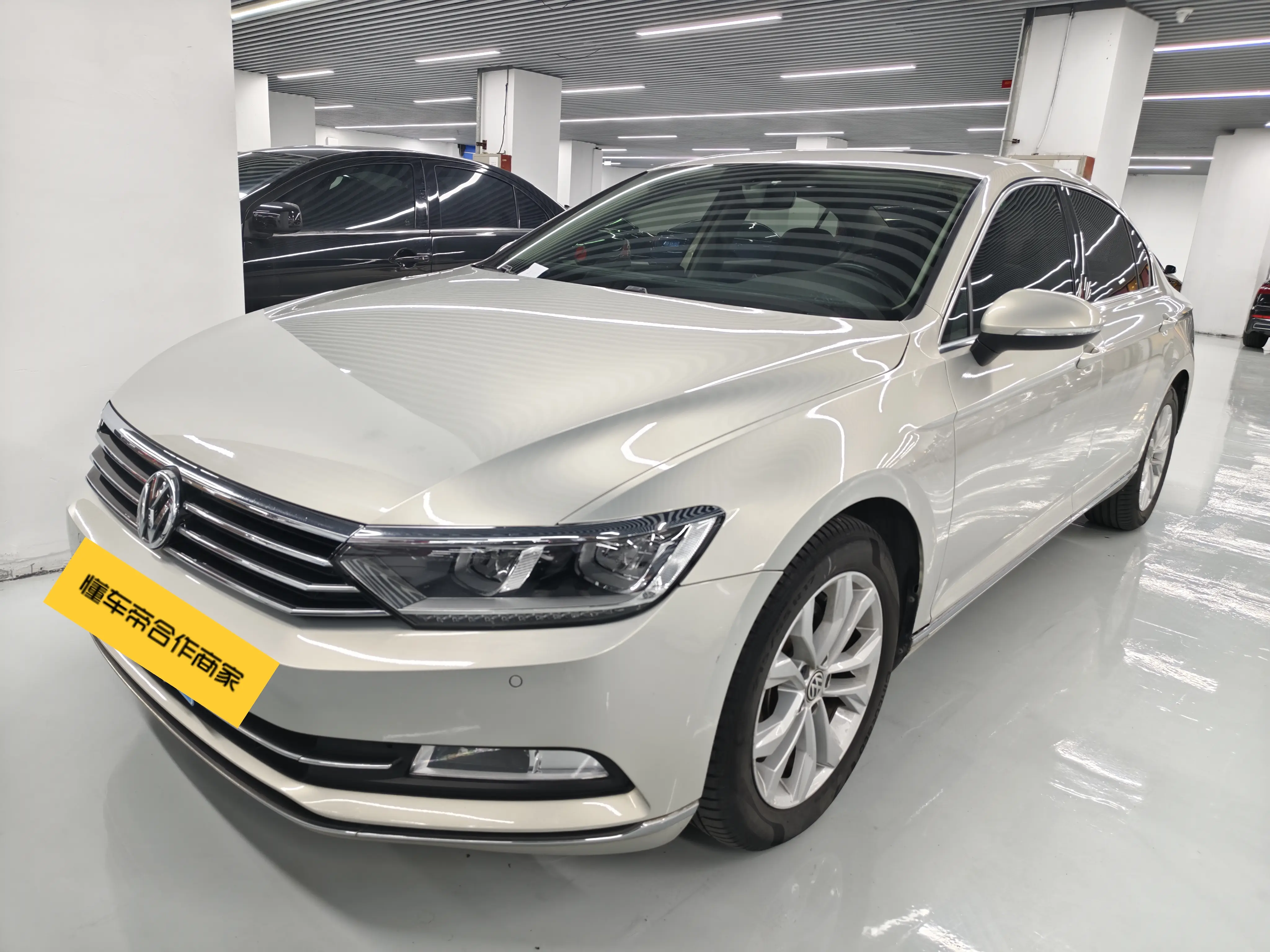 Volkswagen Magotan  из Китая