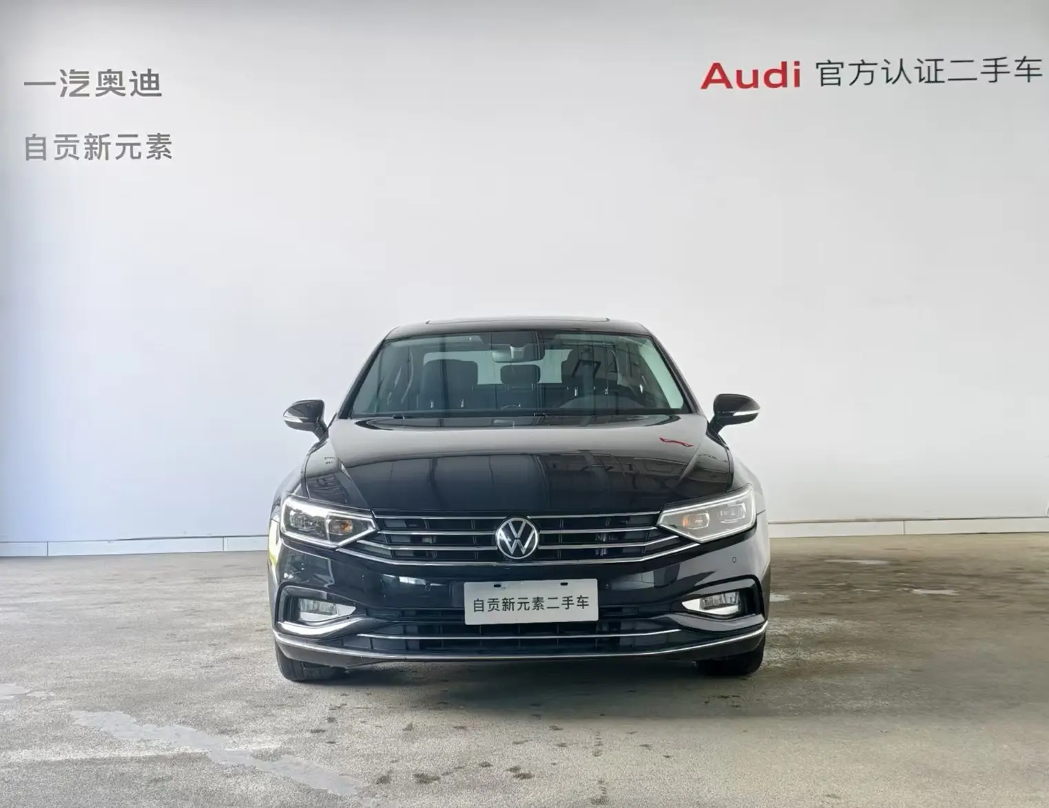 Volkswagen Magotan  из Китая