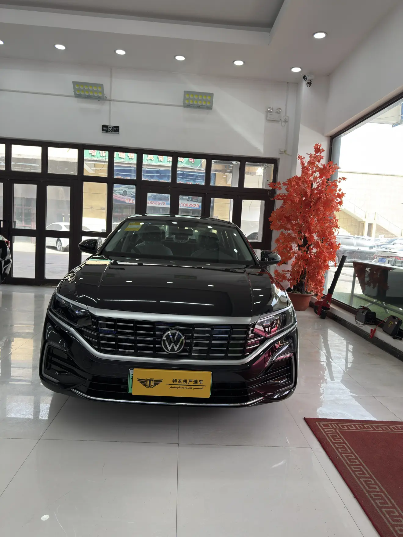 Volkswagen Passat PHEV  из Китая