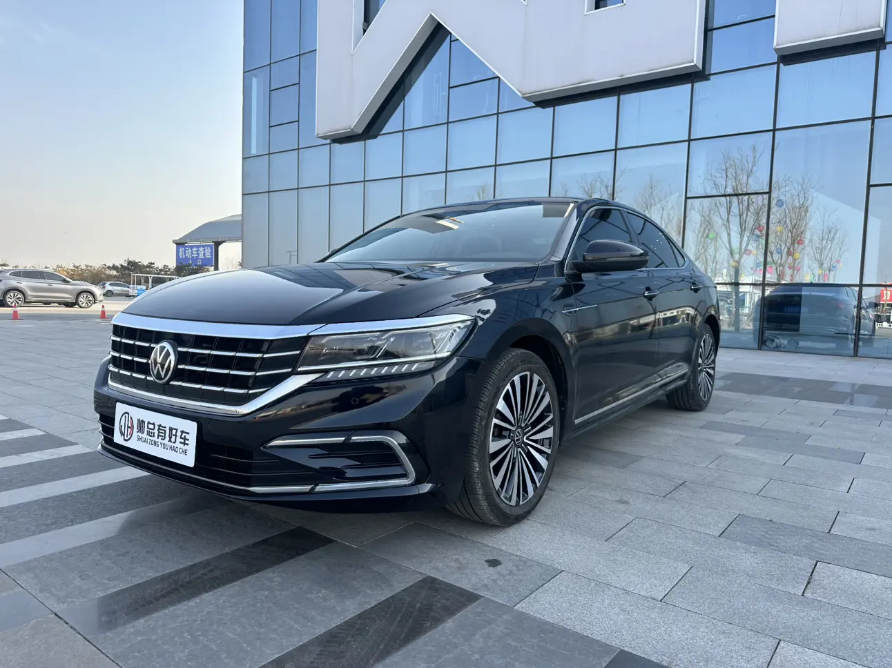 Volkswagen Passat  из Китая