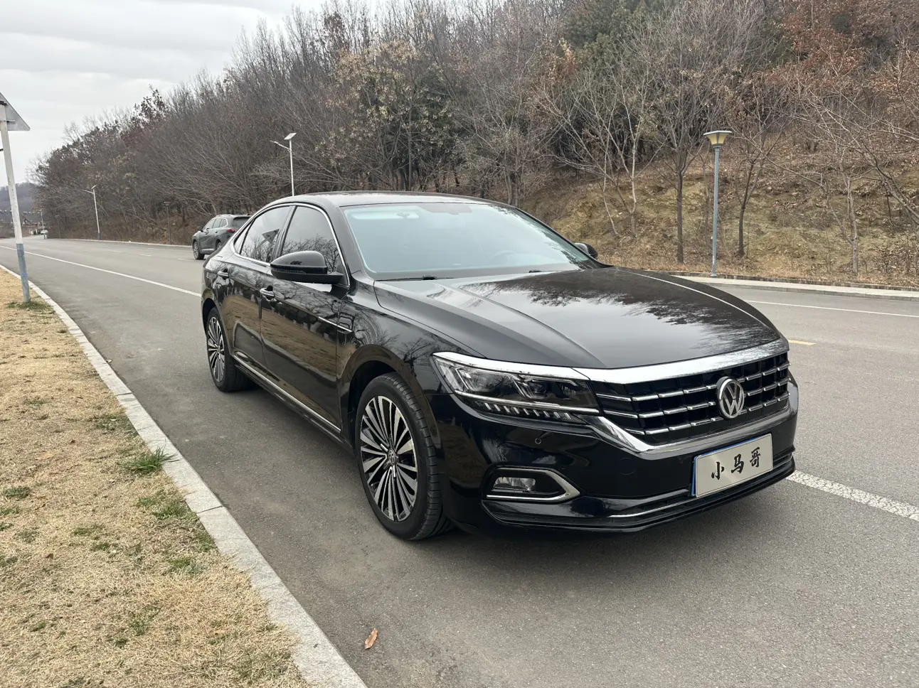 Volkswagen Passat  из Китая