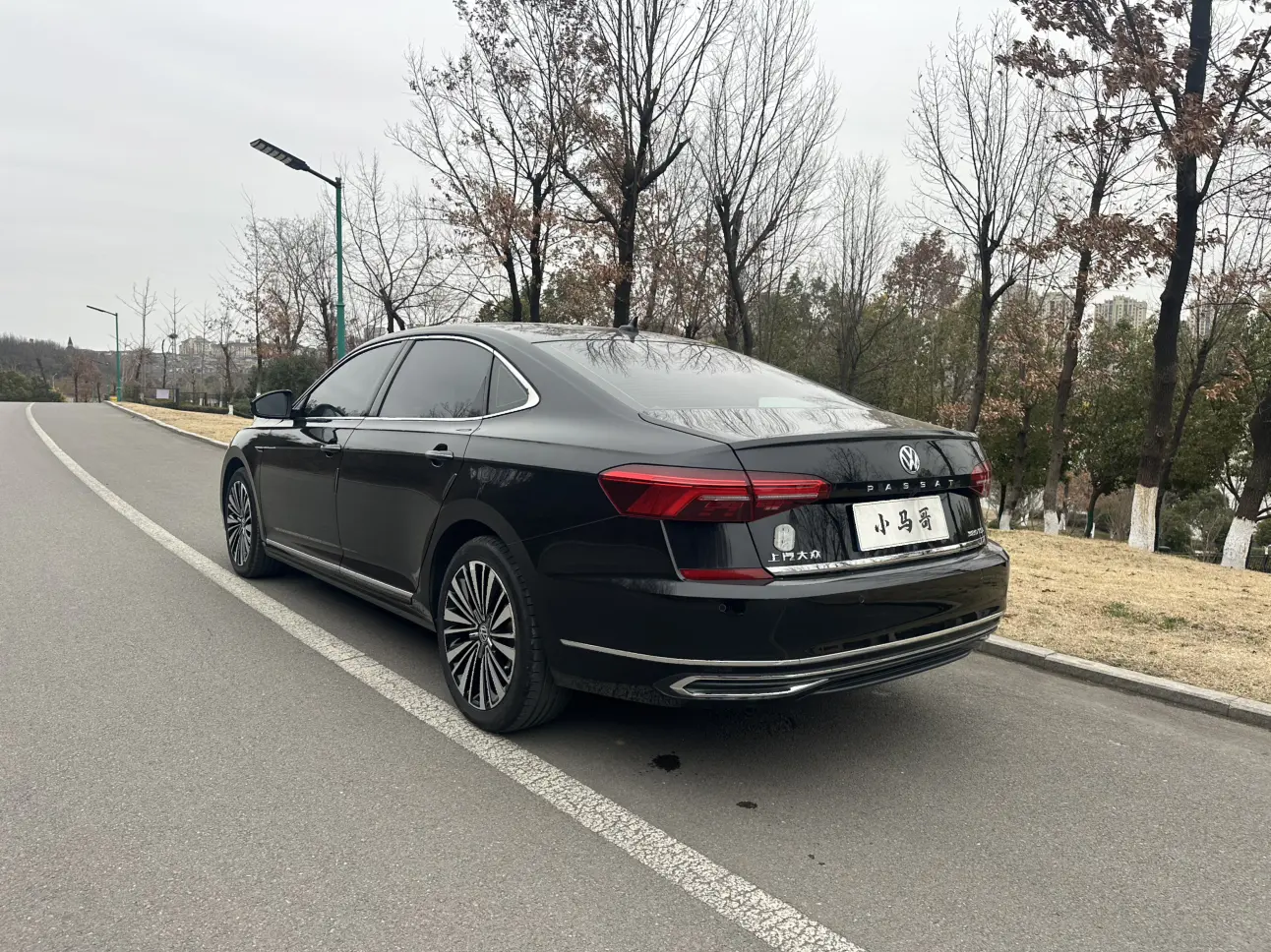 Volkswagen Passat  из Китая