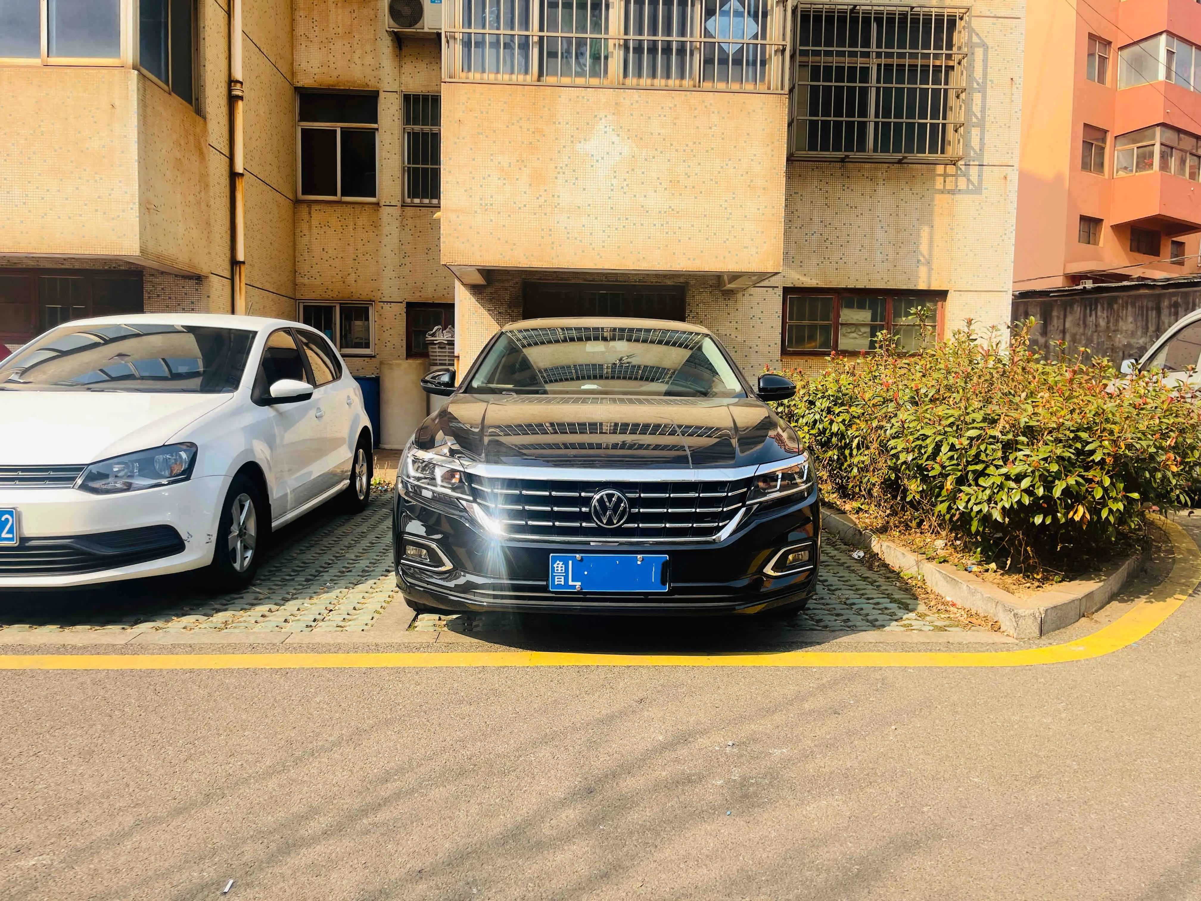 Volkswagen Passat  из Китая