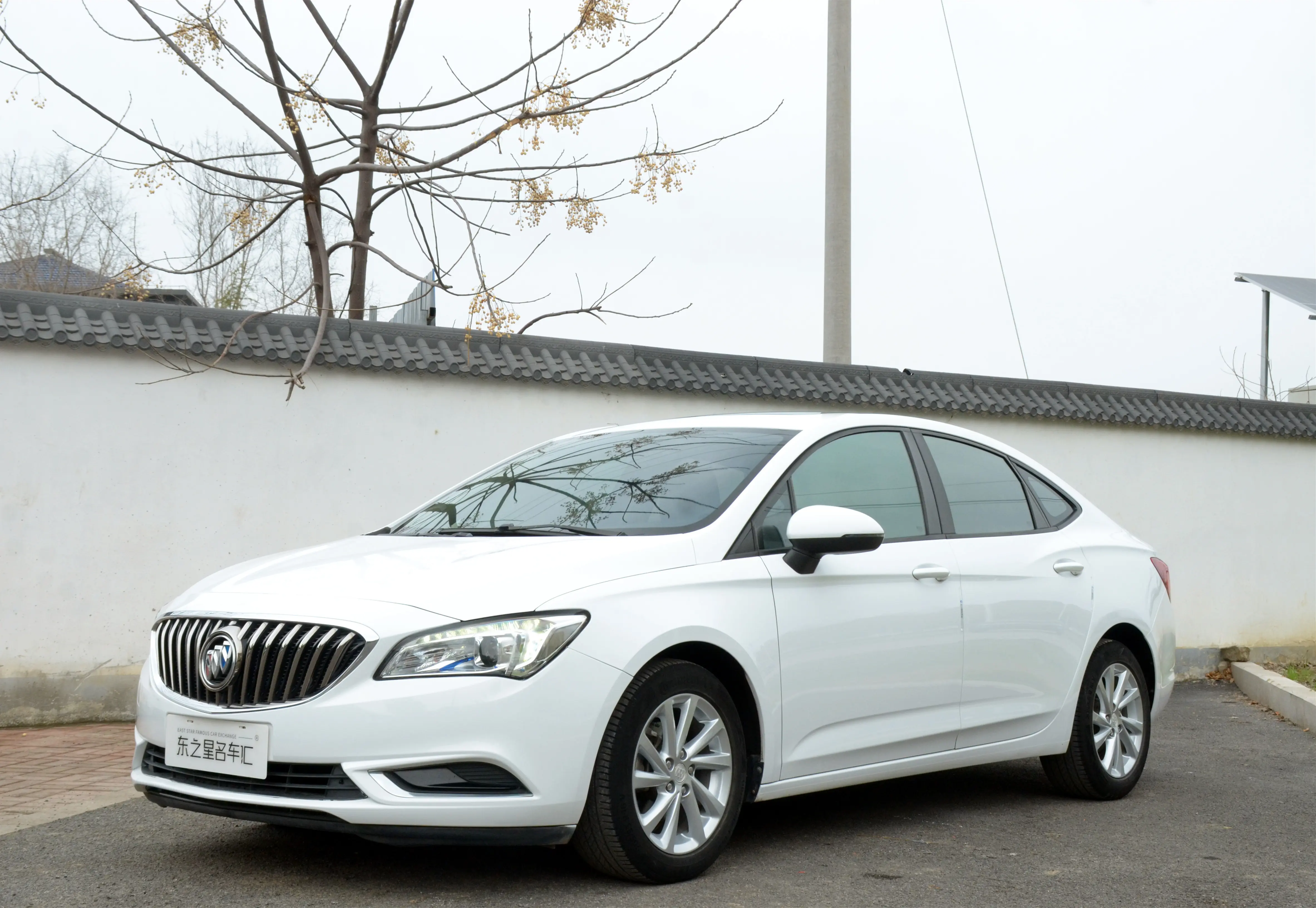 Buick Valeant