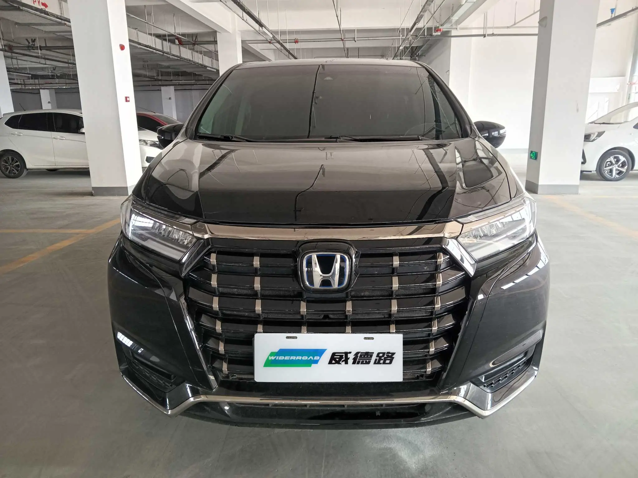 Honda Elysion (Alison)  из Китая