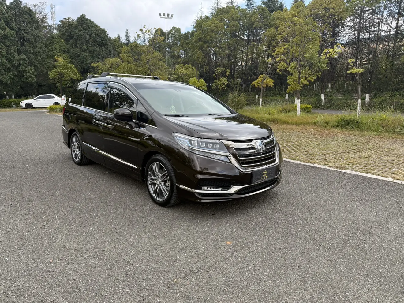 Honda Elysion (Alison)  из Китая