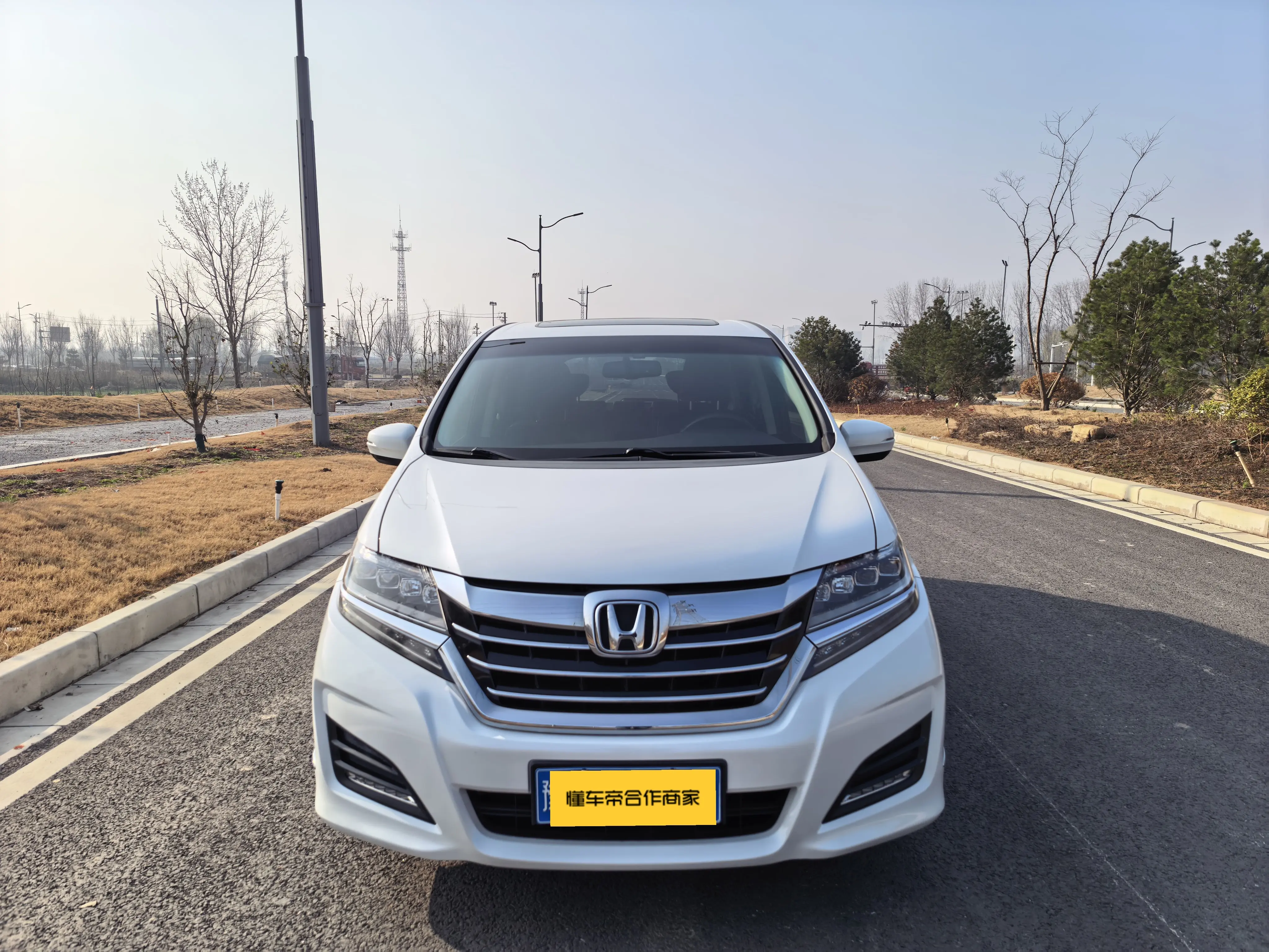 Honda Elysion (Alison)  из Китая