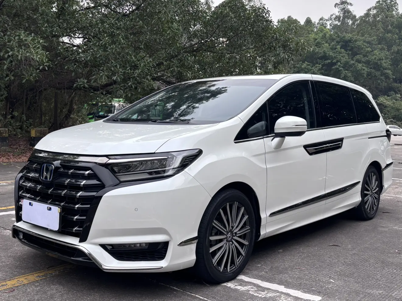 Honda Elysion (Alison)  из Китая